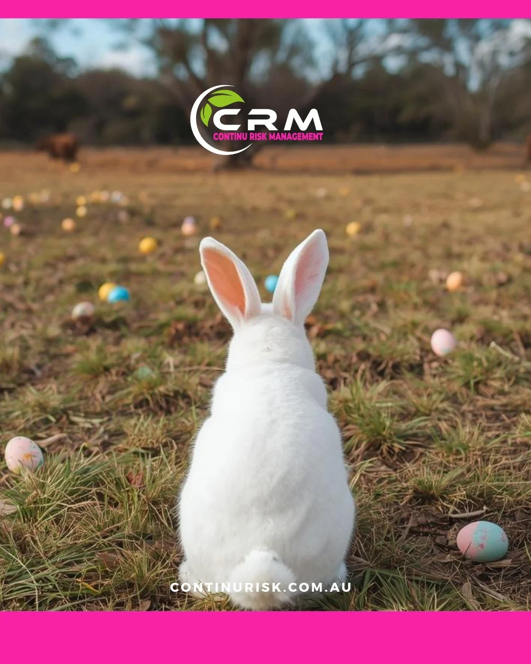 Happy Easter from the CRM team! 🐣

Time to kick back, switch off and get stuck into a few choccy eggs.

While our doors are closed over the break, we are on standby for emergencies such as major incident support.

Have a cracking break and as always