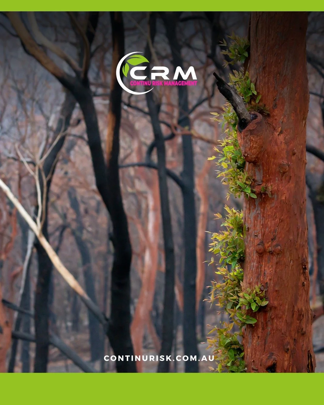 Climate action isn't just a summer conversation. 🌿

Today is World Environment Day and this year&rsquo;s global theme is a call for urgent Climate Action. For every organisation we partner with, this is a vital reminder that changing weather pattern
