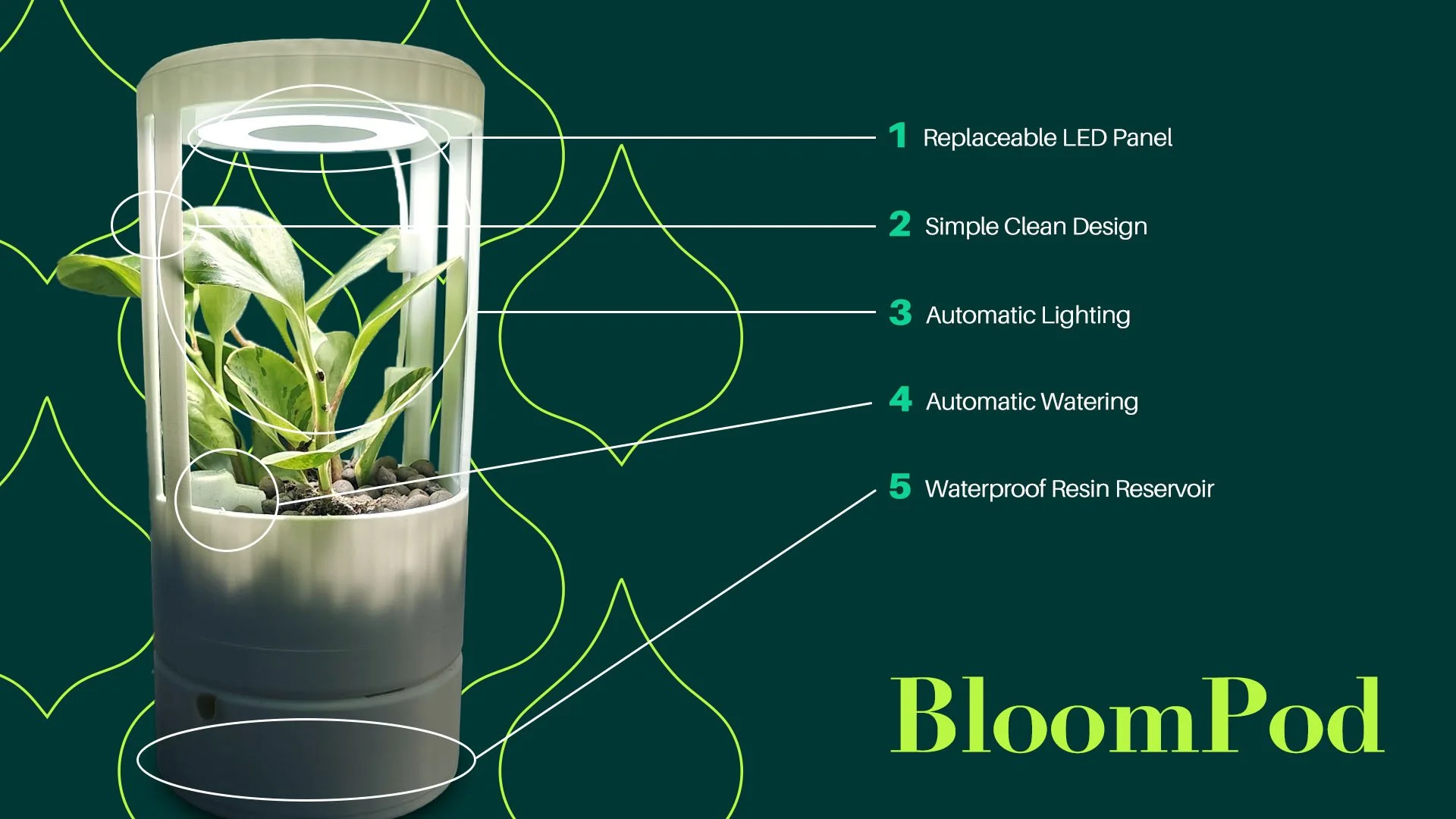 BloomPod — BloomWise