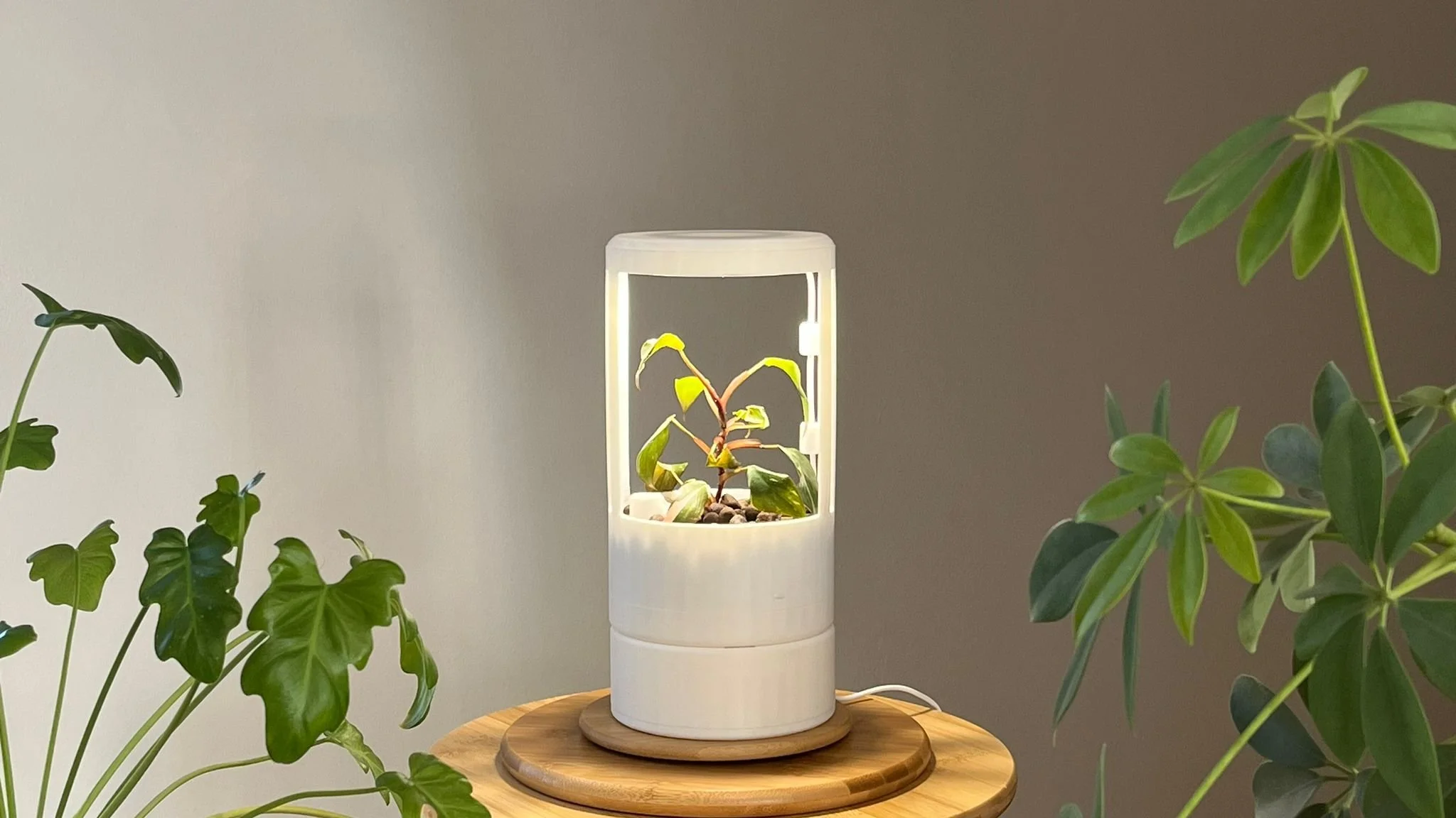 BloomPod — BloomWise