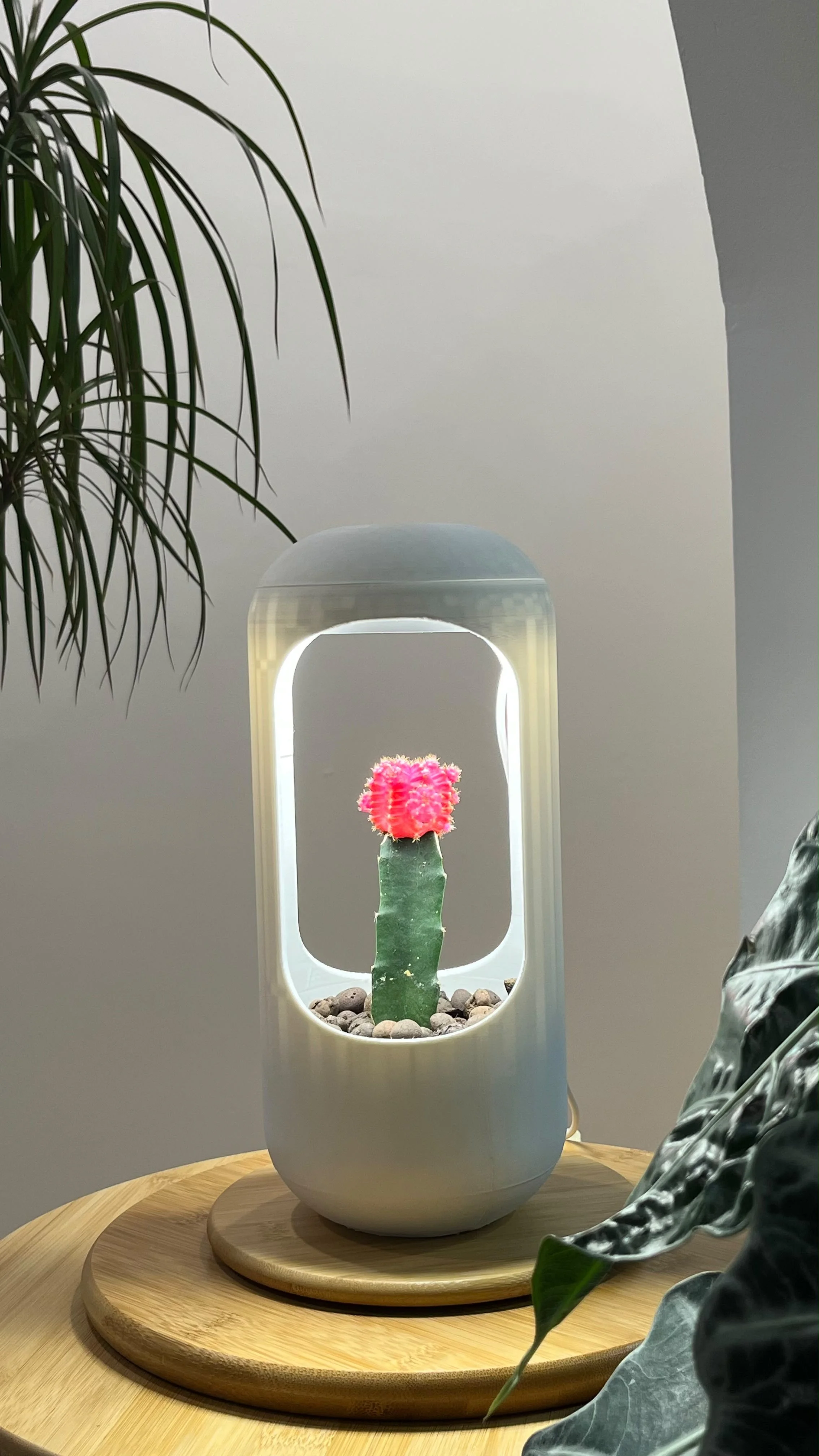 BloomPod Capsule