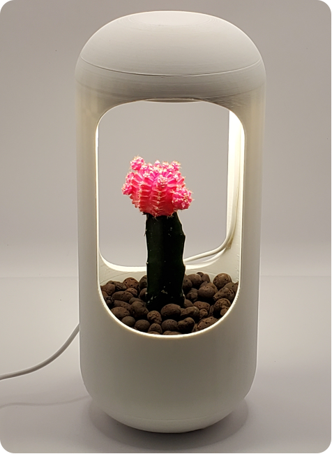 BloomPodCapsule.png