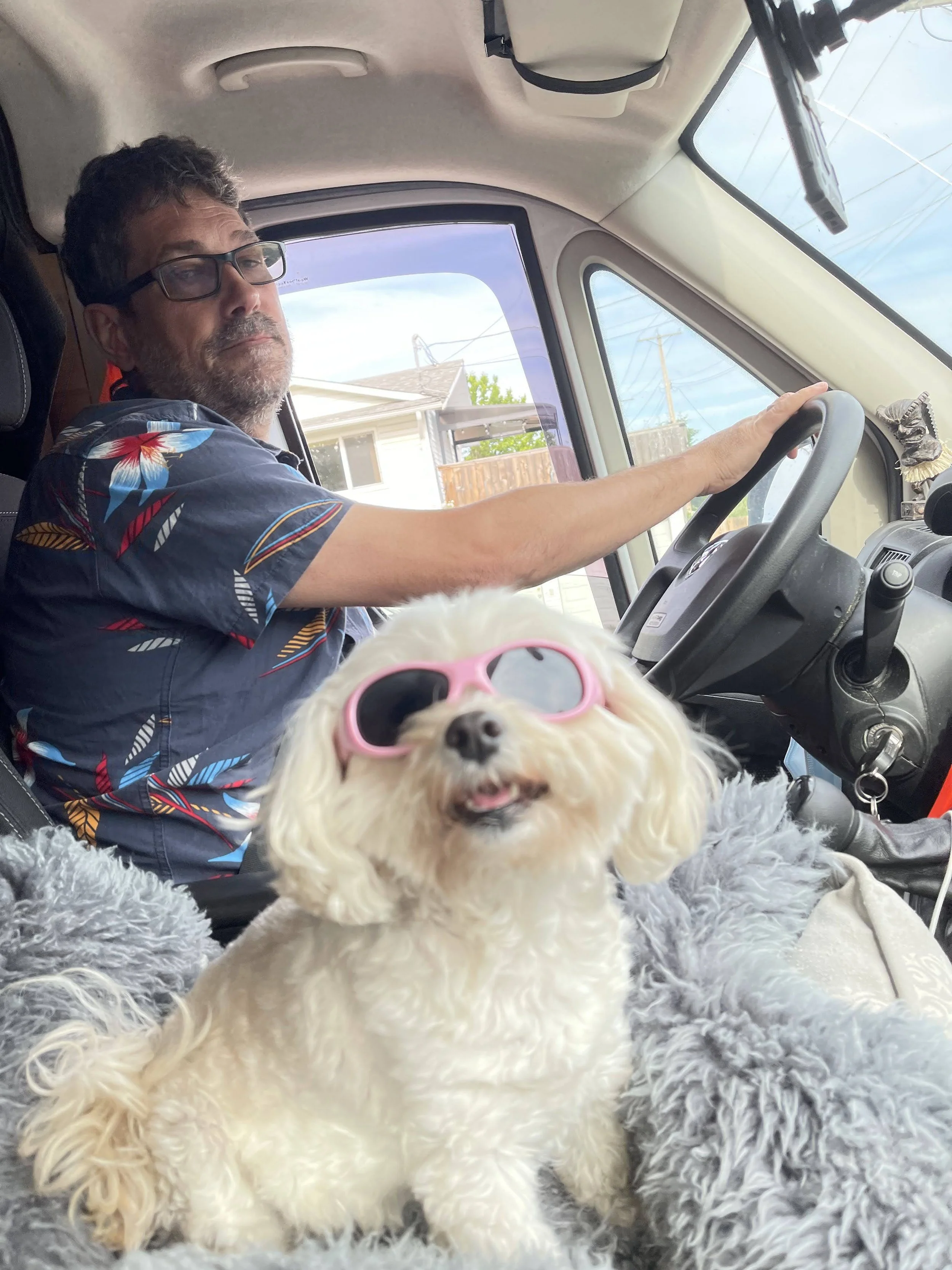 Pet Friday is back!