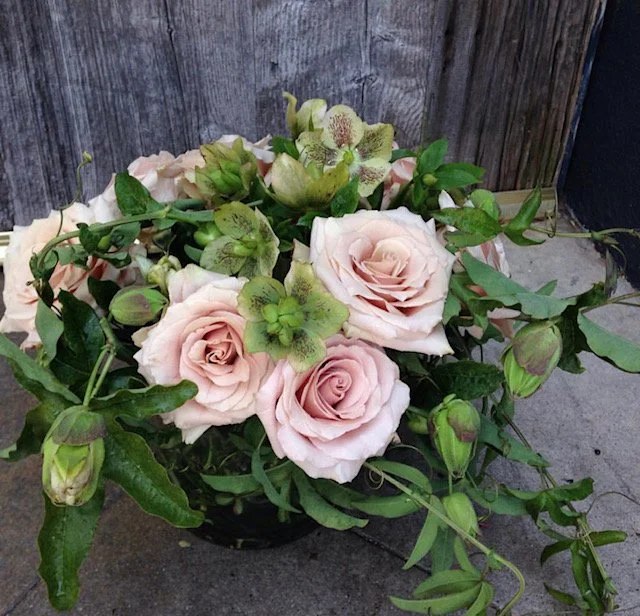 pastel-garden-roses-studio-city.jpg