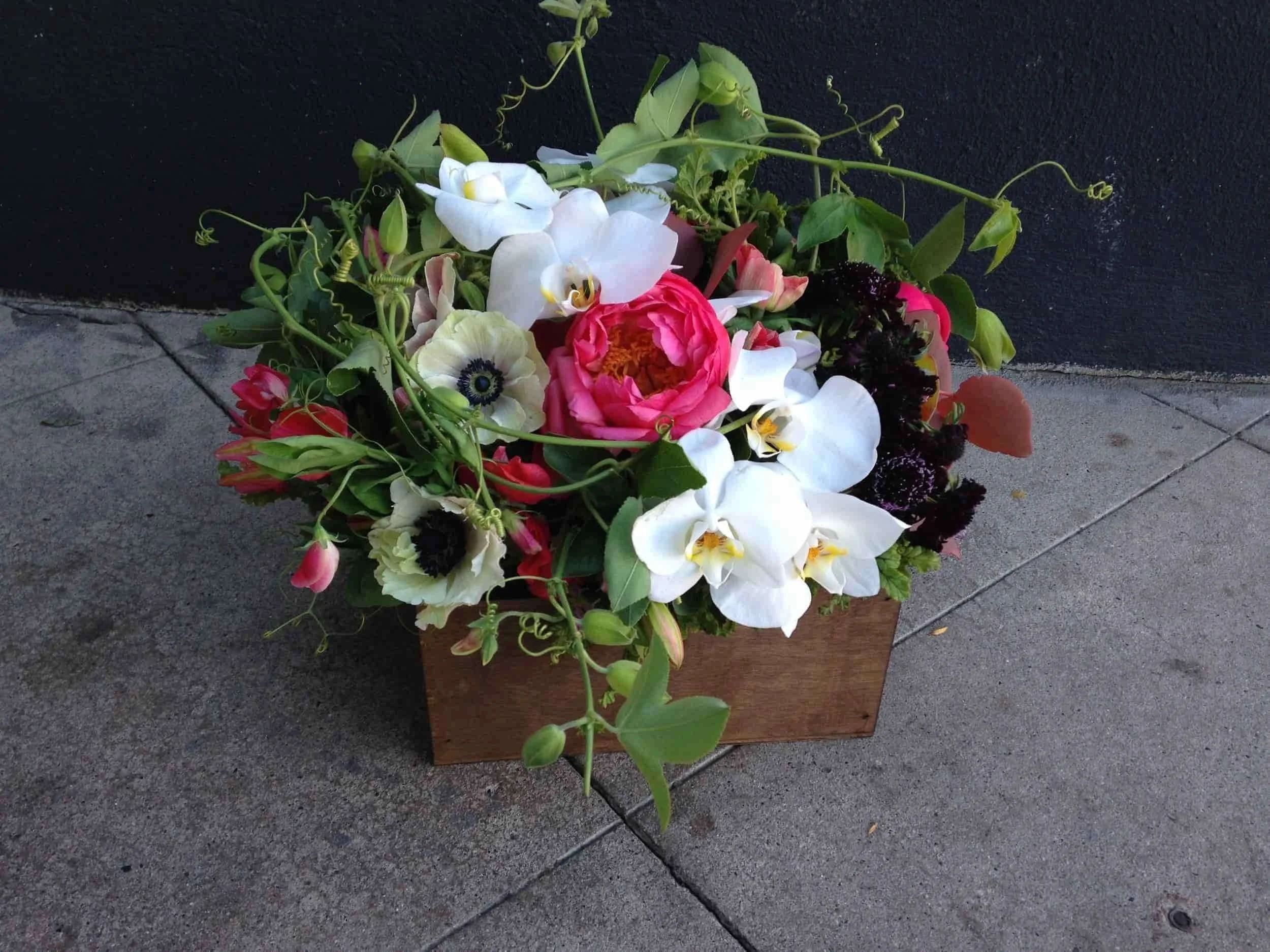 best%2Bflorist%2Blos%2Bangeles_compressed_compressed.jpg