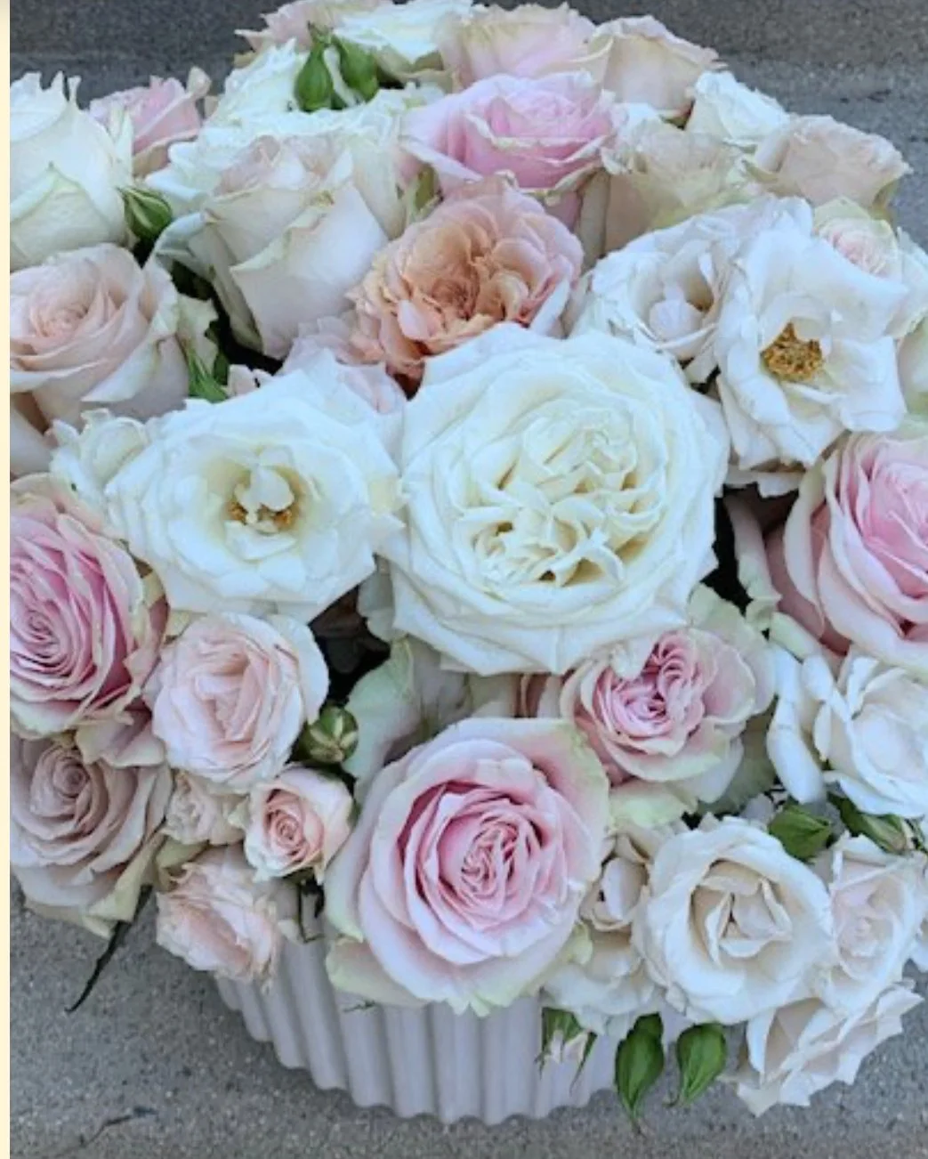 one-dozen-roses-studio-city.jpeg