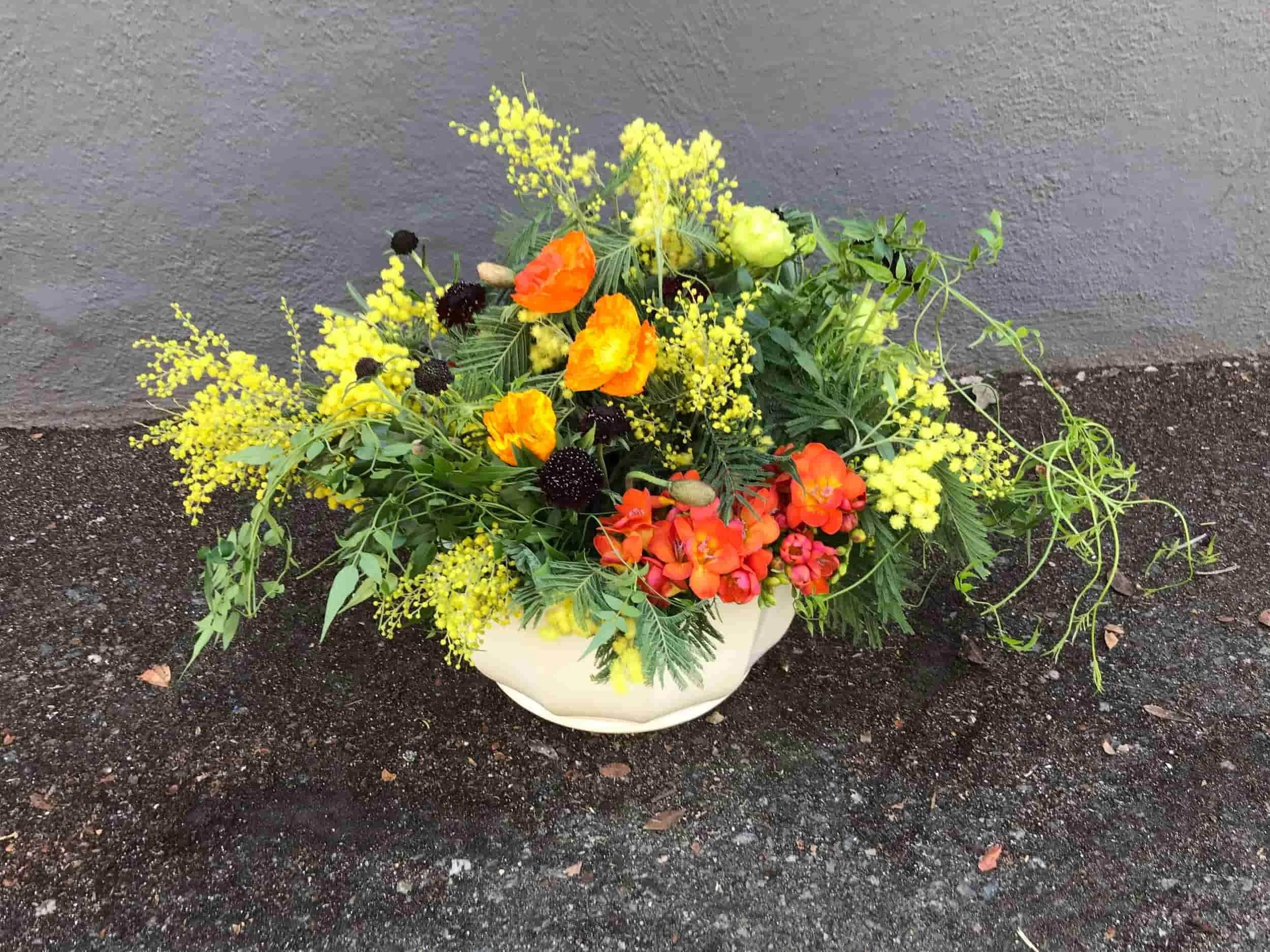 The KJ -Cheery bright colorful and fun flowers