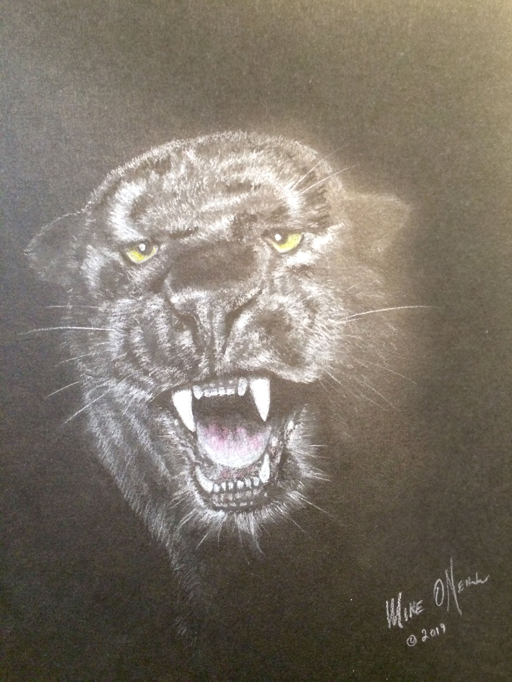 a_TigerDraw_2584.jpg