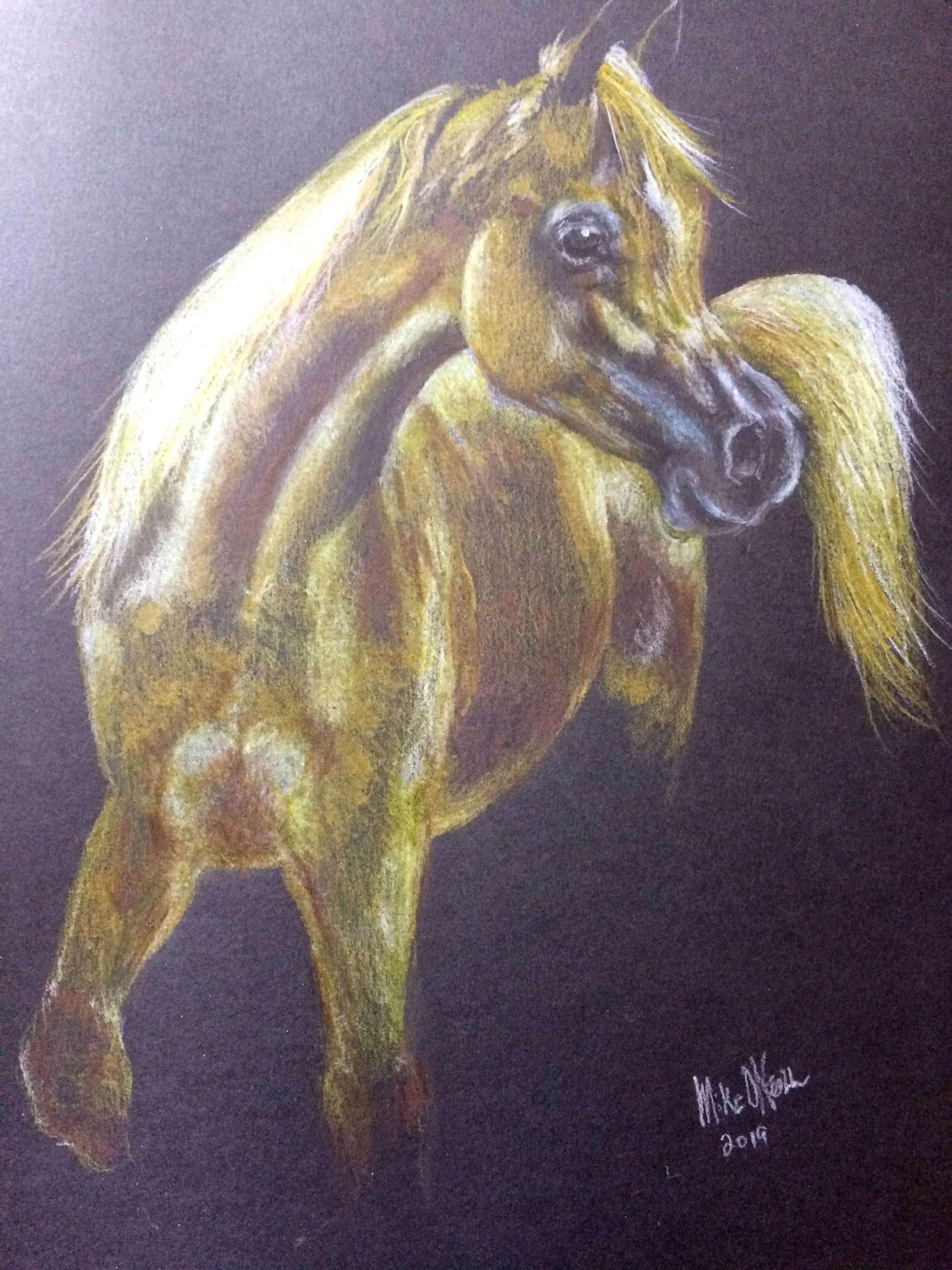a_YellowHorse_2584.jpg