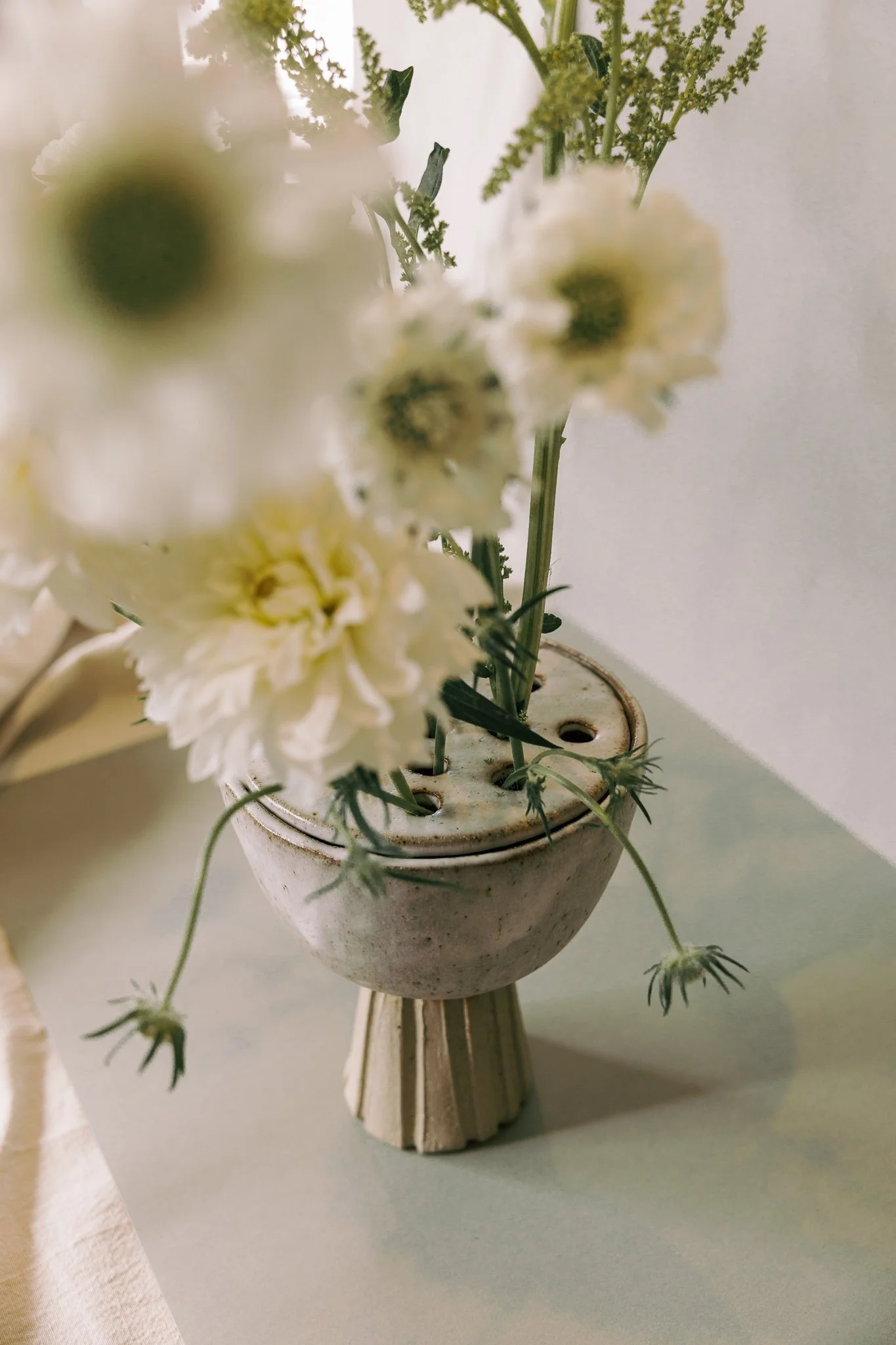 SentienceStudio-OchretheLabel-January-2026-LowRes-01-12.jpg