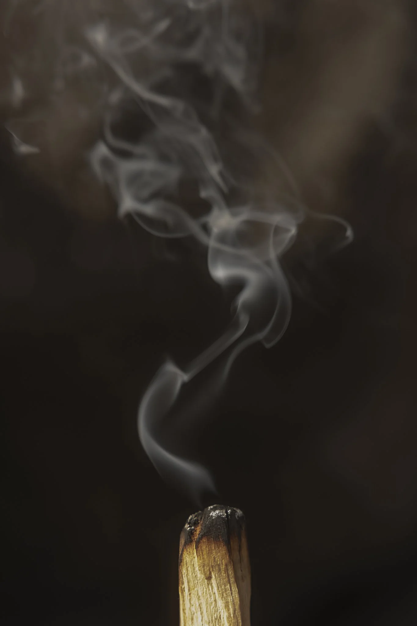 SentienceStudio_LRituel_Selects_September_Product_2025_LowRes-15.jpg