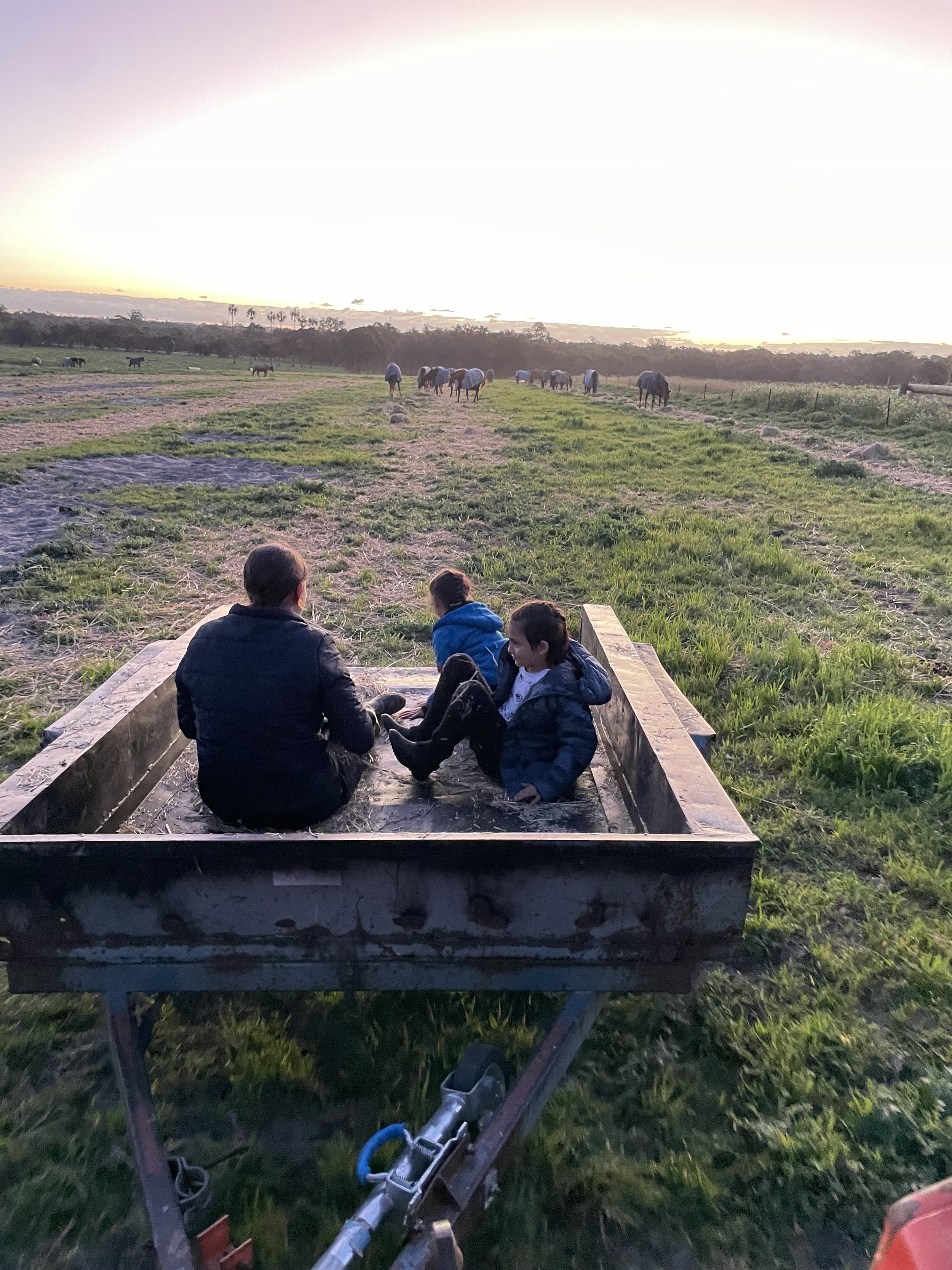 Classes yarrada farm riding school