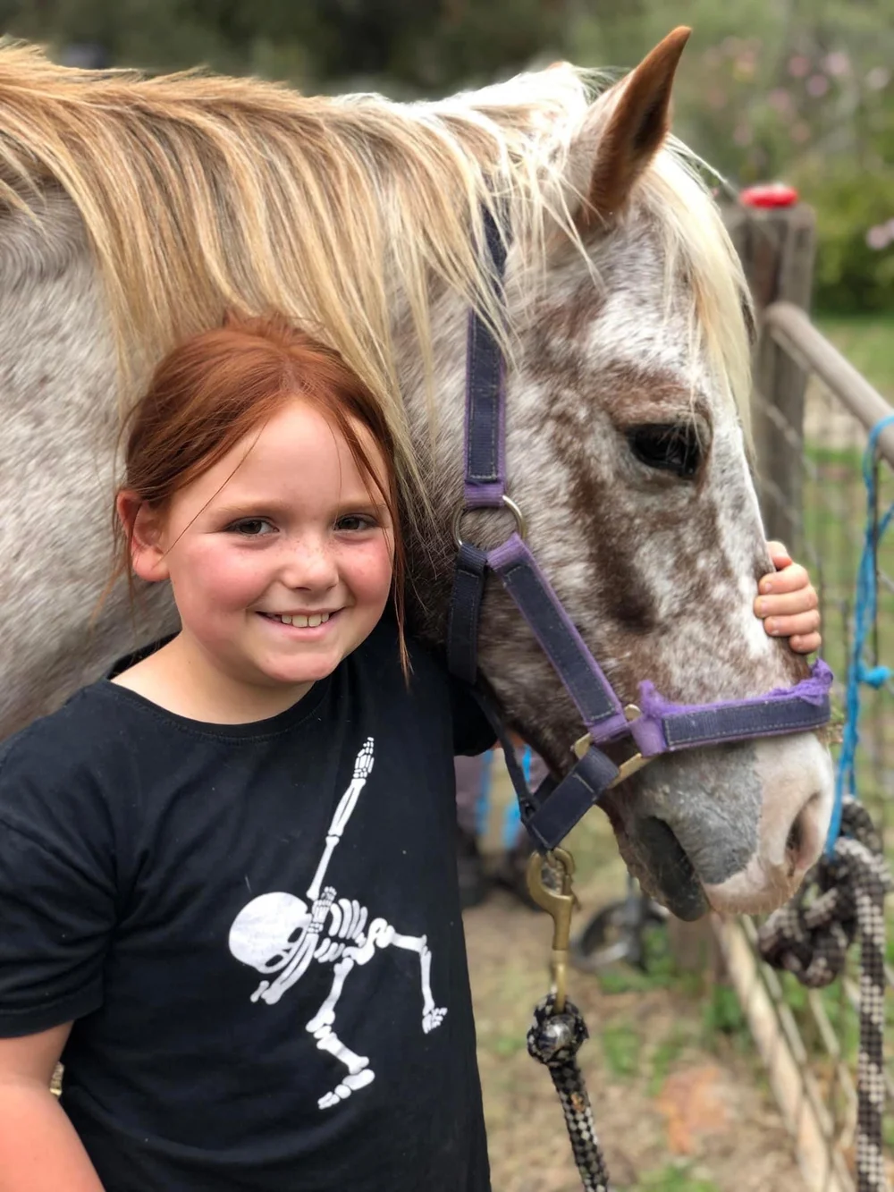 About — Yarrada Farm Riding School