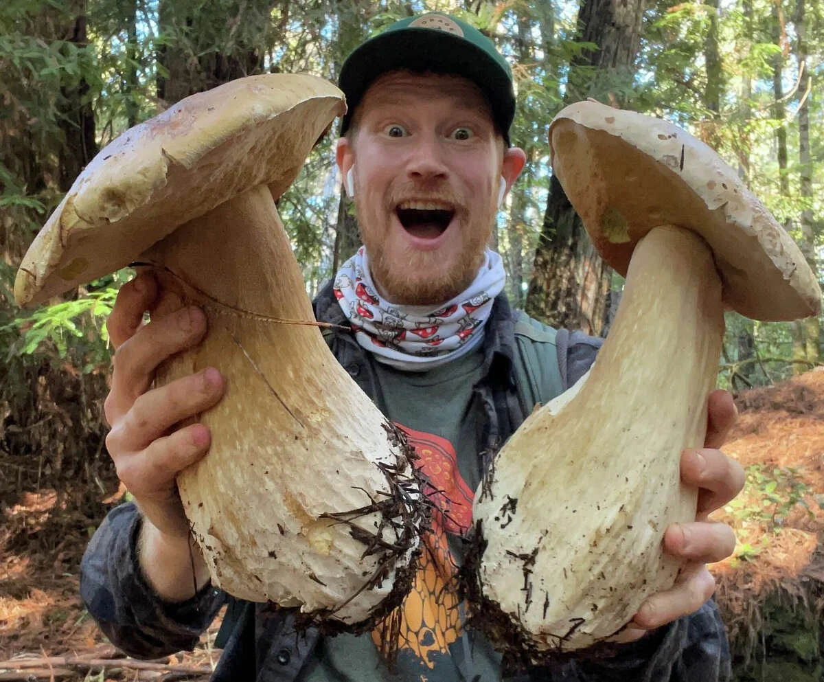 GORDONBIGBOLETES.jpeg