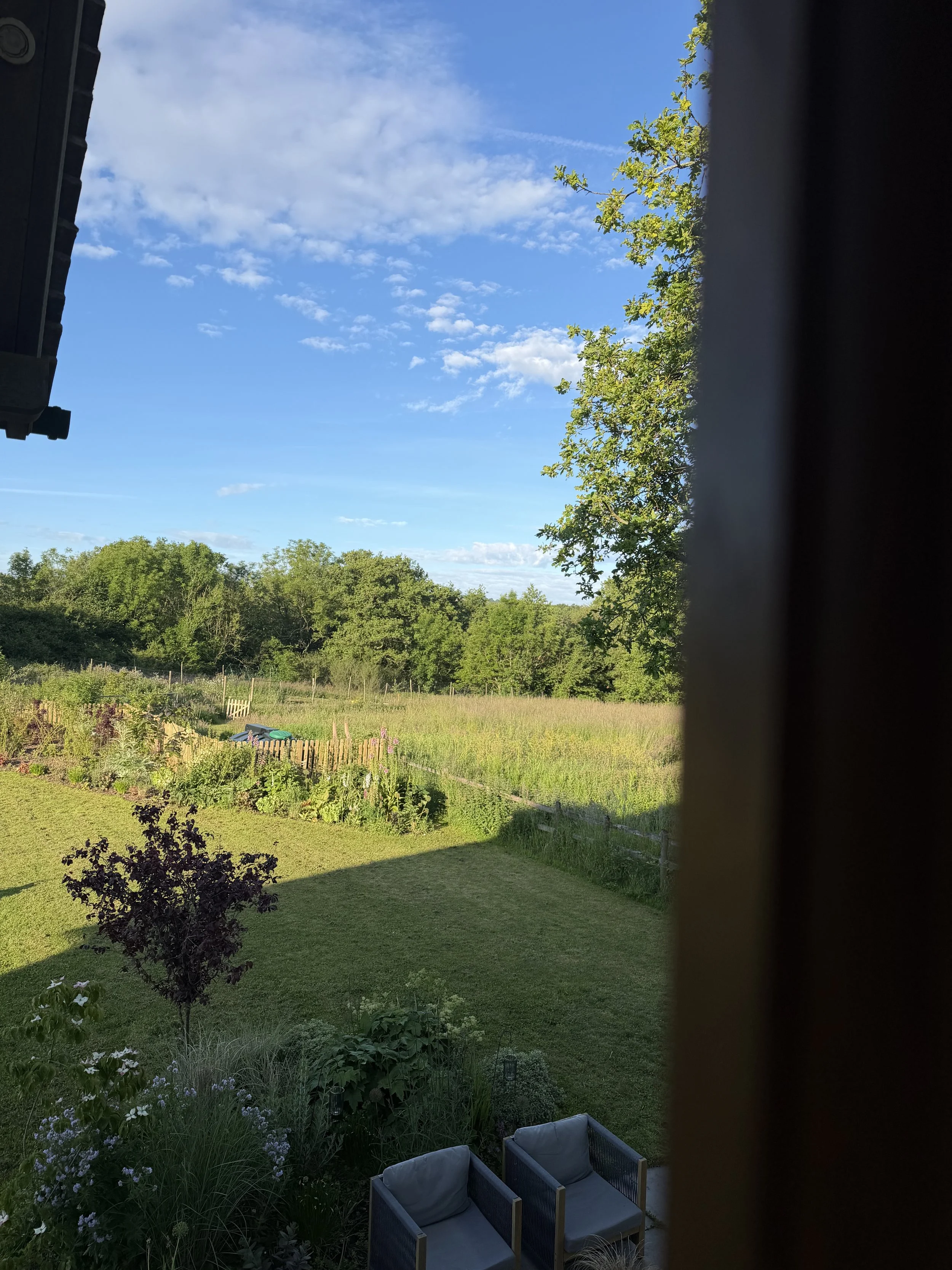 IMG_7702.jpeg