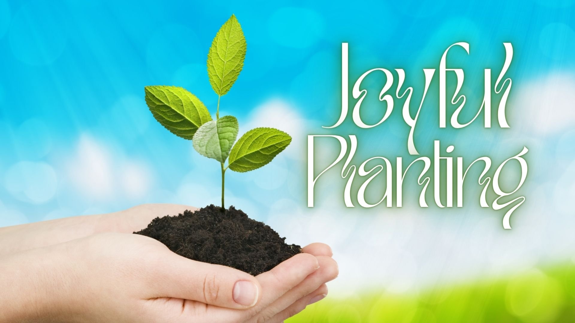 Waning Crescent Moon in Taurus – Pre-New Moon Creativity &amp; Joyful Planting with Numerology 3