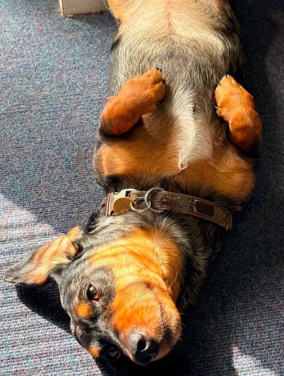Otis
