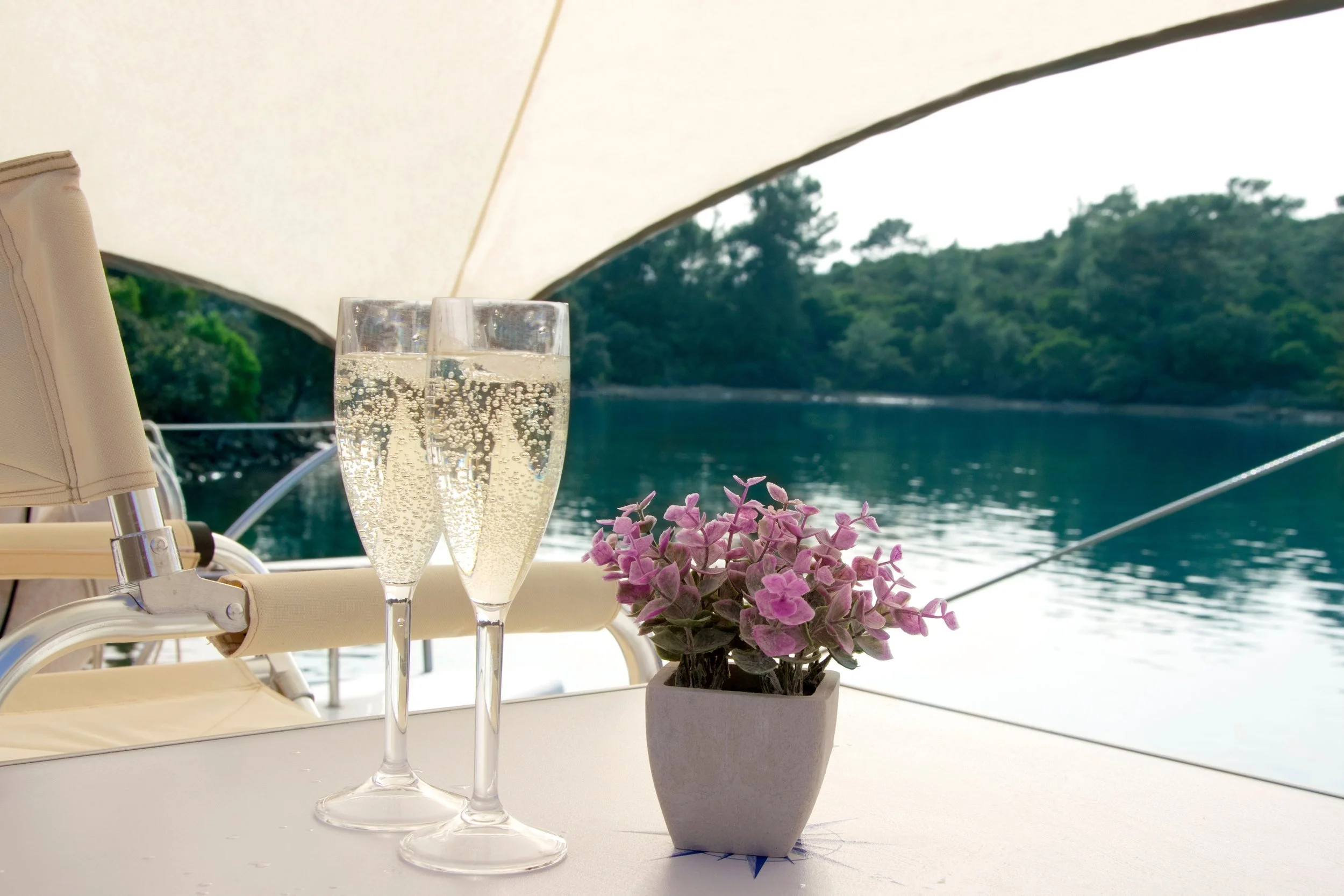 Savannah Cruise Company Wedding Boat