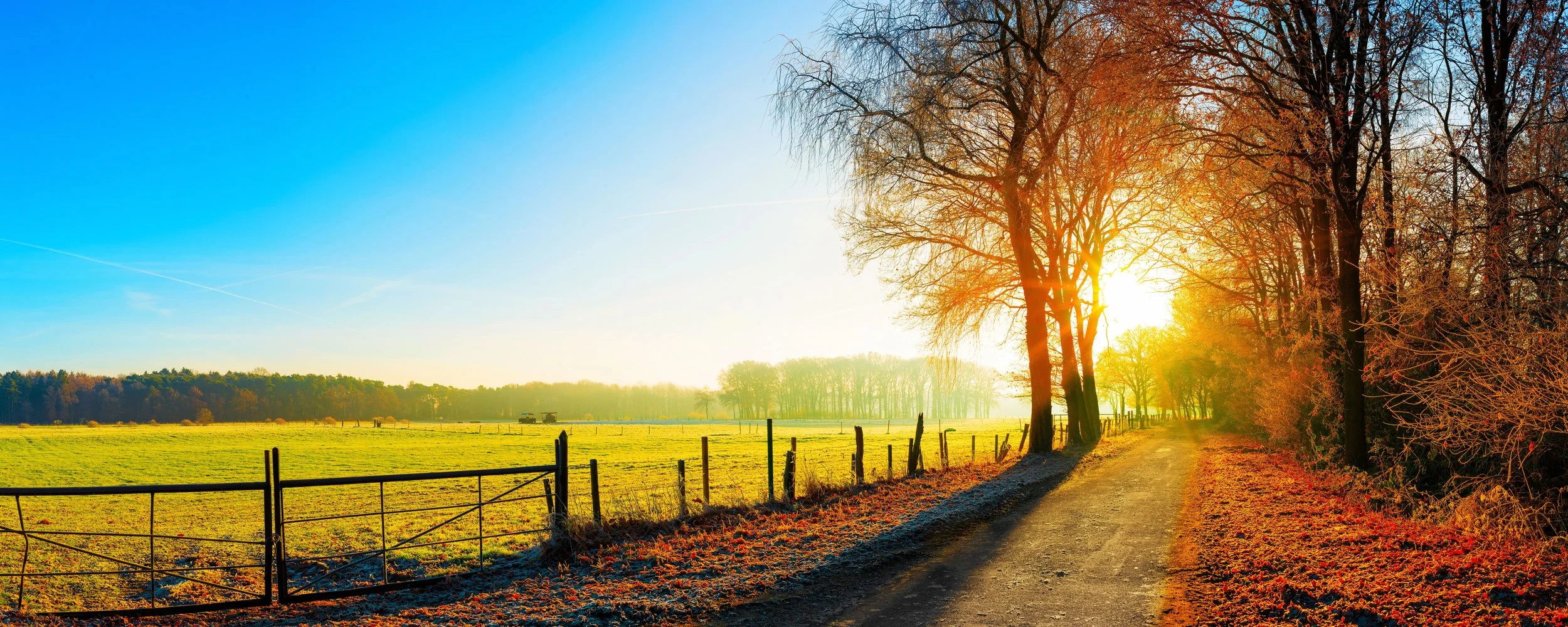 iStock-629612772.jpg