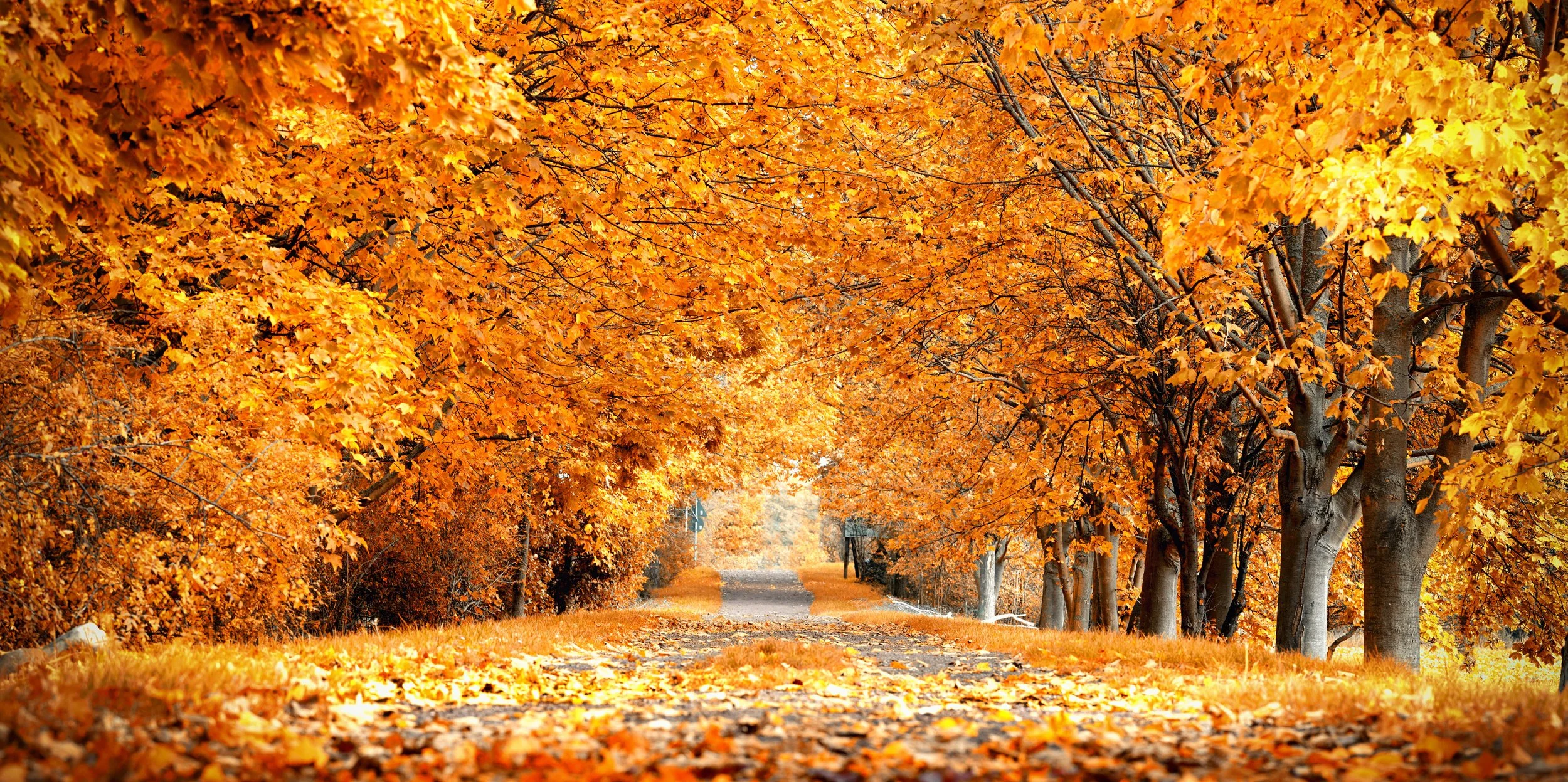 iStock-2223401121.jpg
