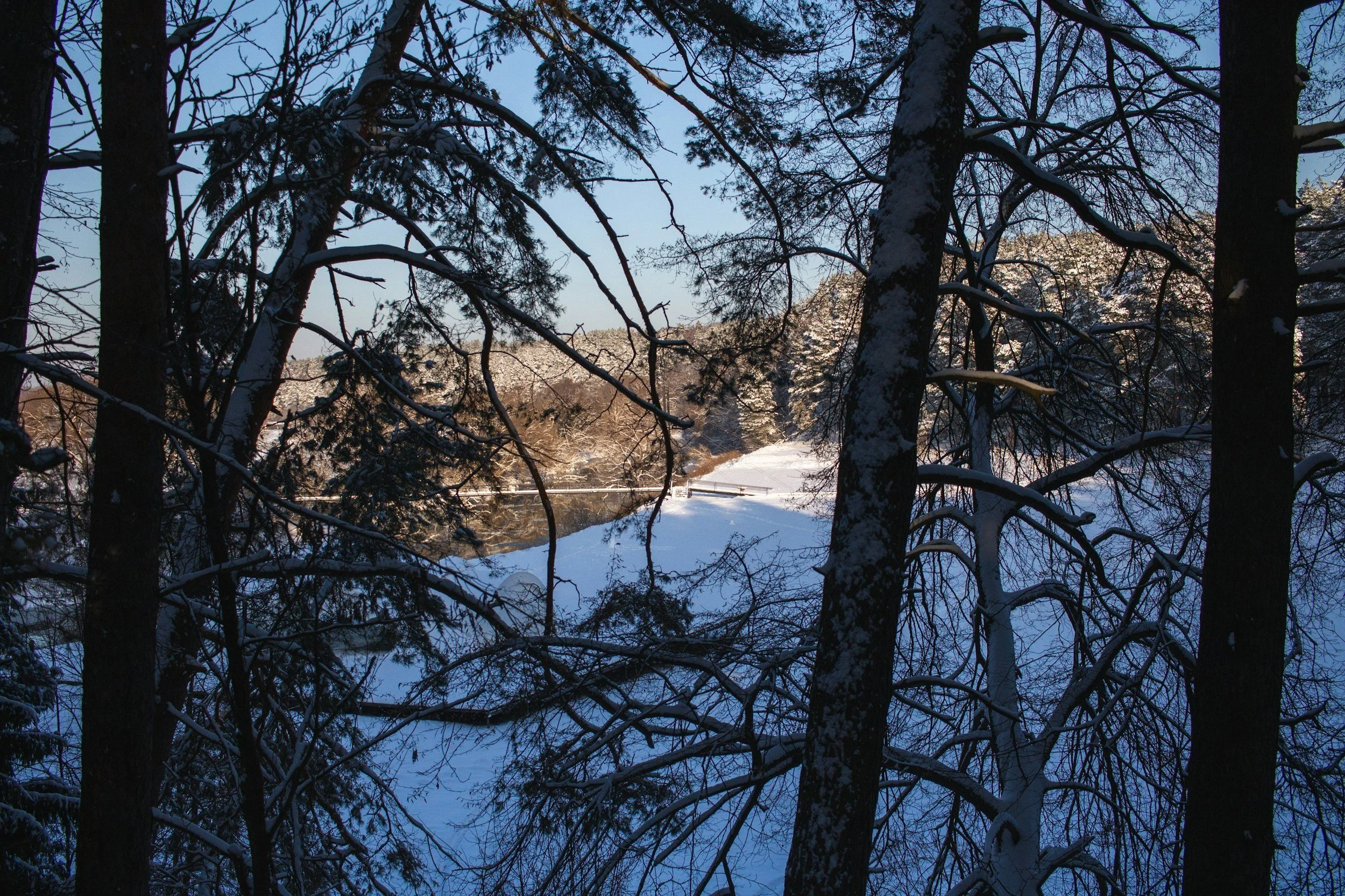Naturen som stöd för psykedelisk integration