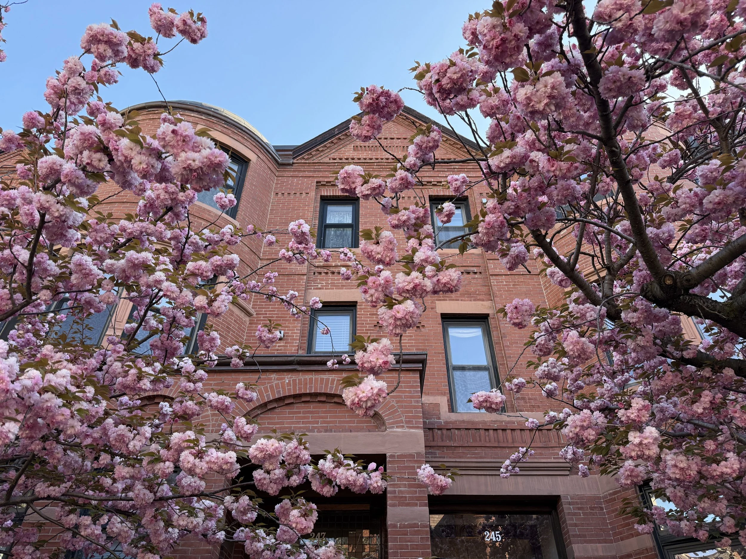 Visiter Boston en 3 jours (itinéraire complet et détaillé)