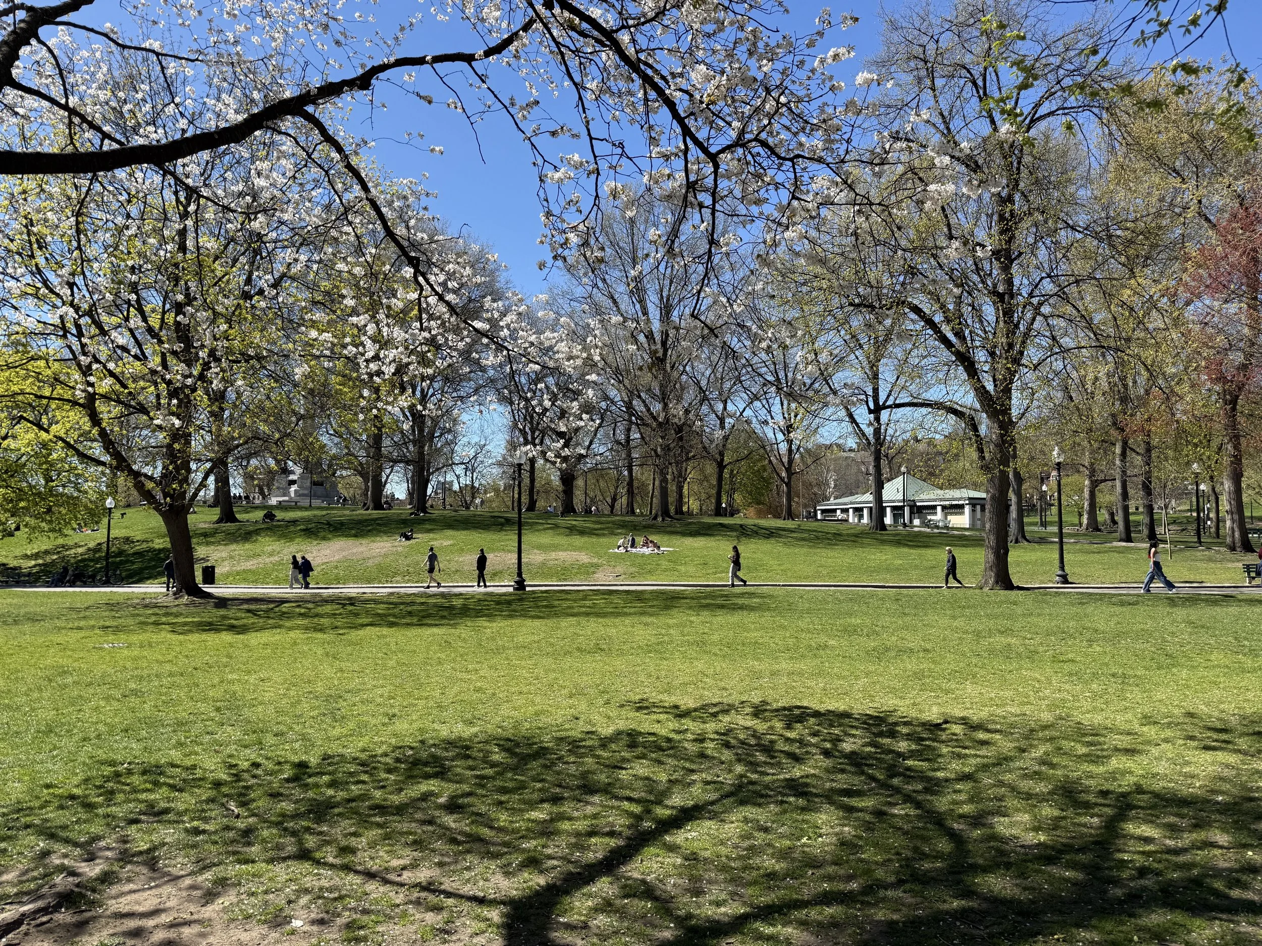 Boston Common Garden