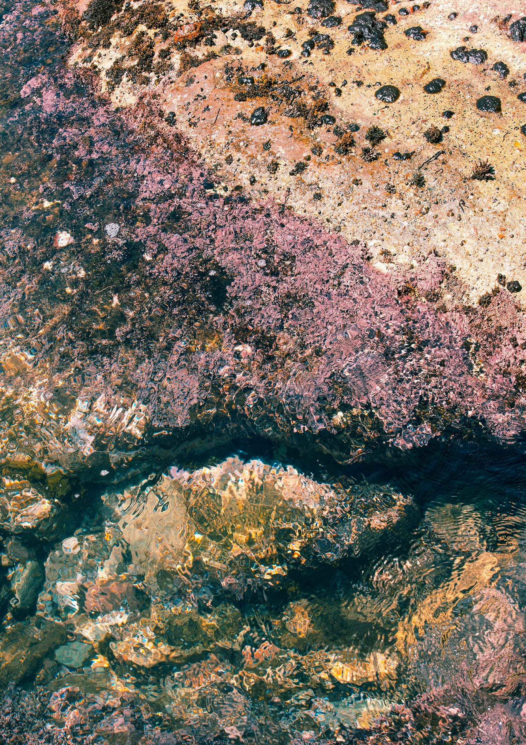 IMG_1575 PrintfulMU.jpg