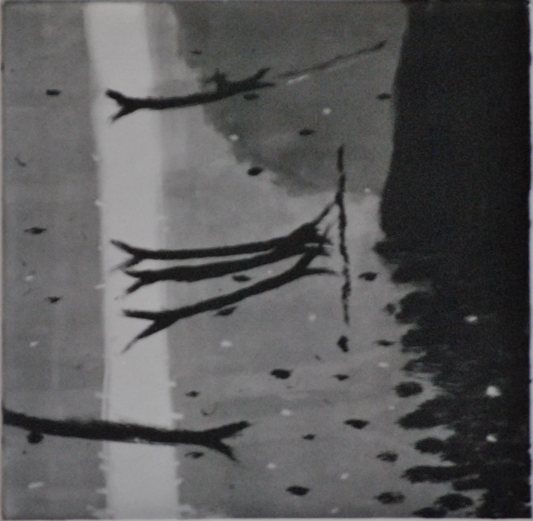 LUZ DE LUNA (Monotipo s/Papel)