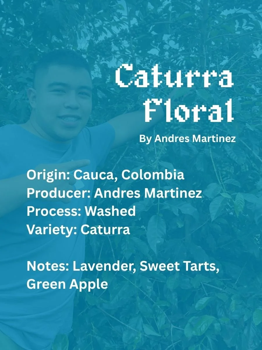 Caturra Floral: Washed Colombia (Select Mode: Adventure)