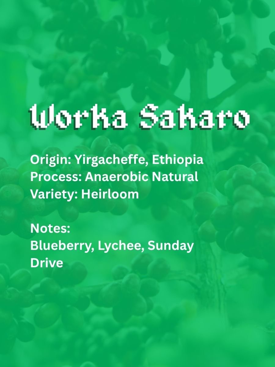 Worka Sakaro Anaerobic Natural Ethiopia (Select Mode: Adventure)