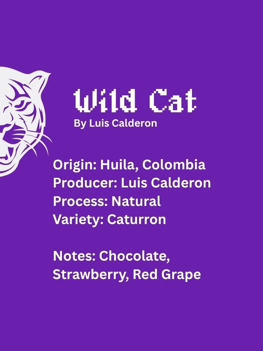 Wild Cat: Natural Colombia (Select Mode: Legendary)