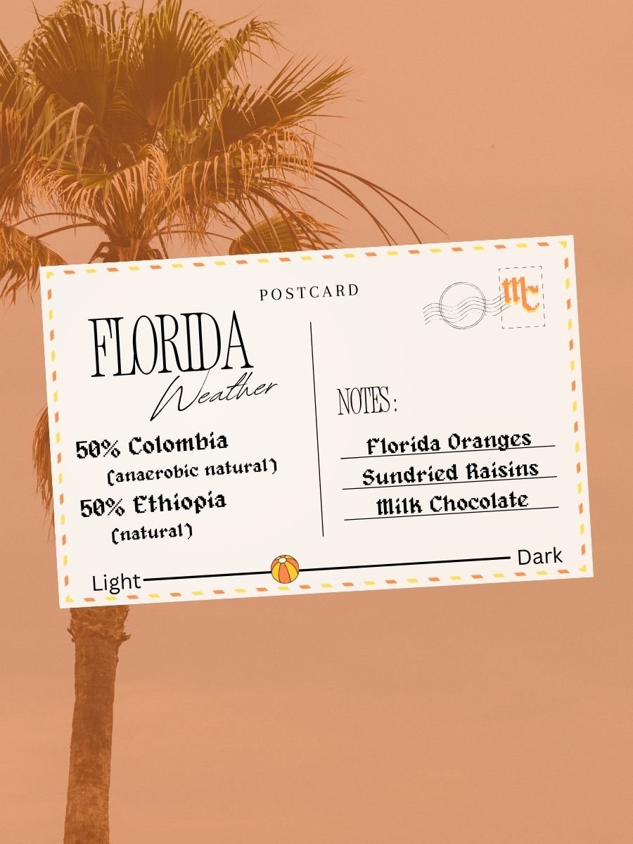 Florida Weather: A Subtropical Blend (Select Mode: Adventure)