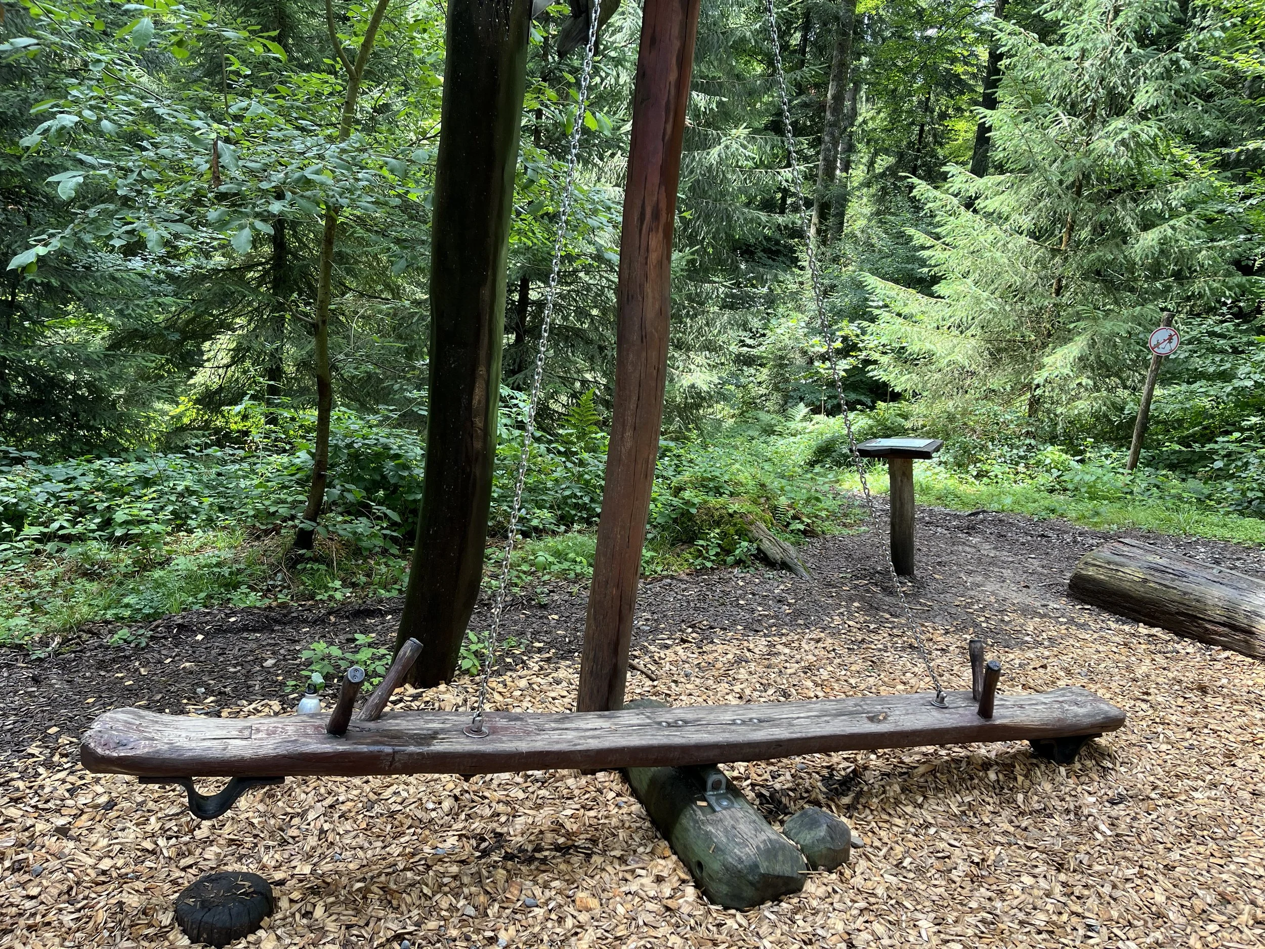 41 Spechtwippe_07.jpeg