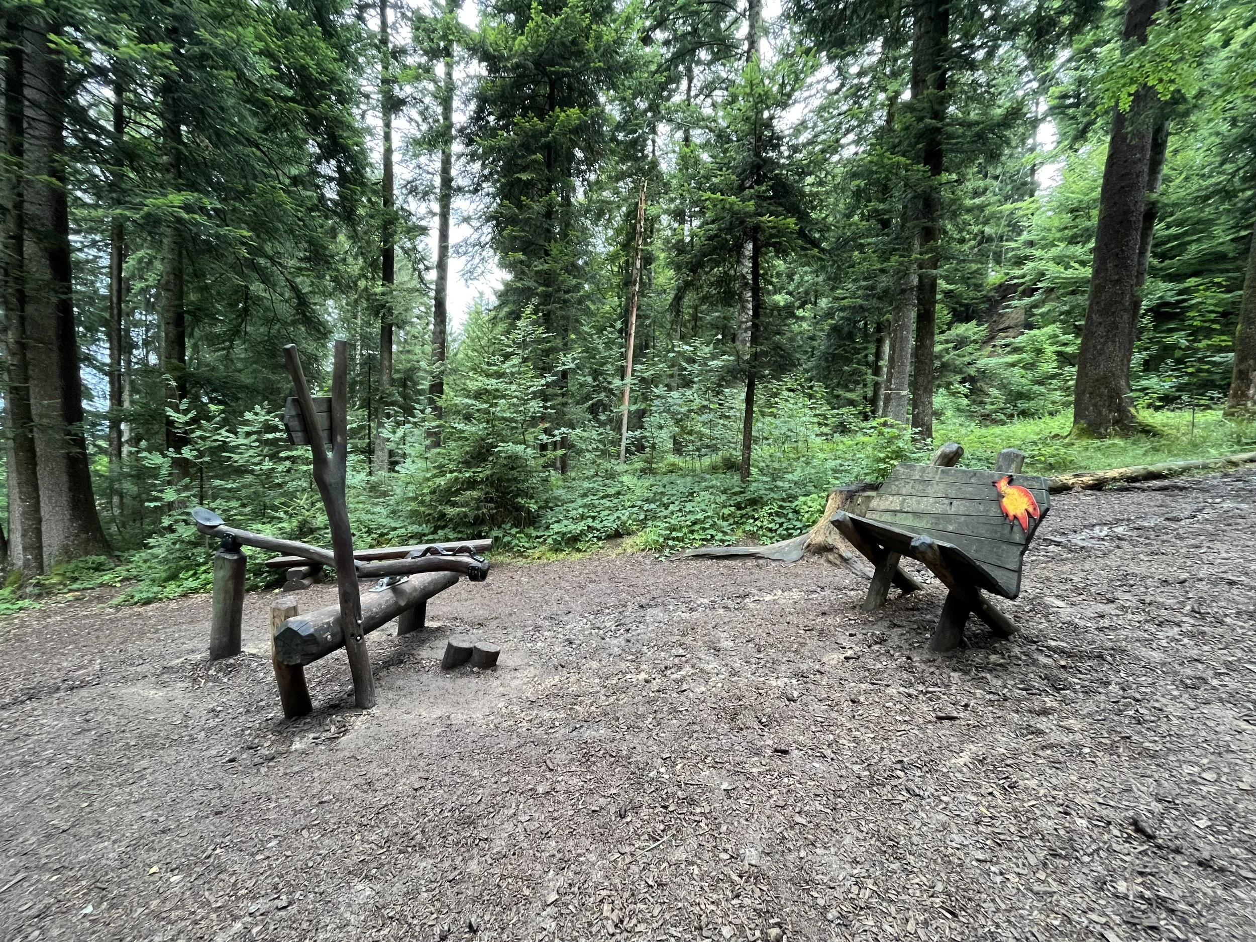 34 Zapfenschleuder_02.jpeg