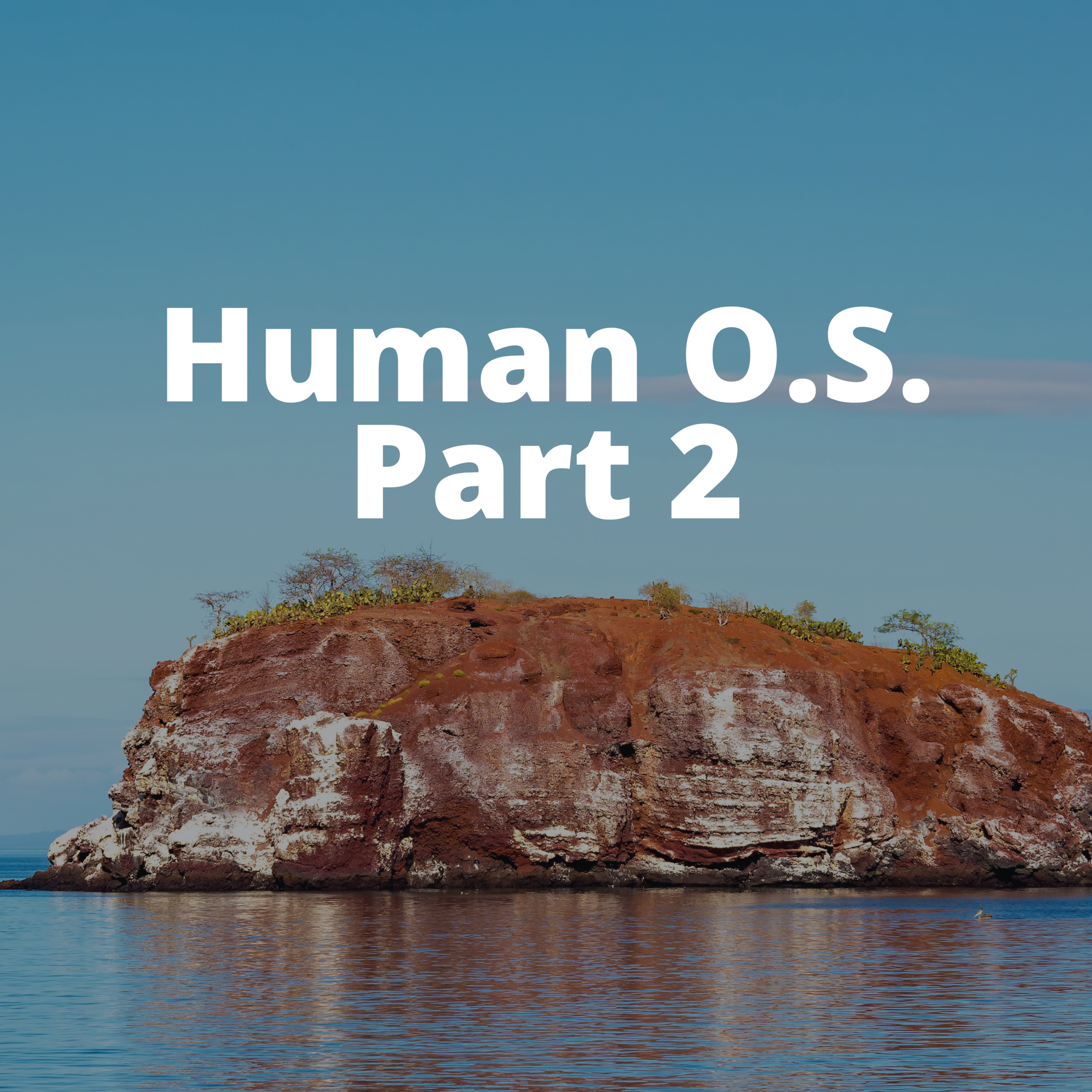 The Human O.S. Part 2: No one is an Island...