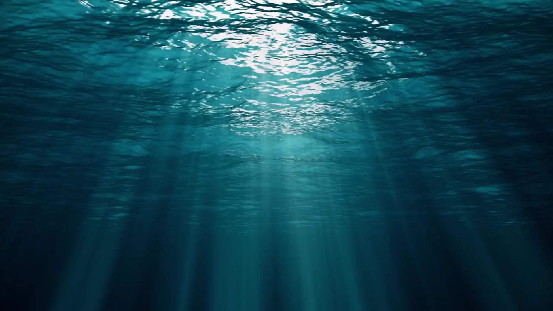 Source Marketing Studio Home Page Video Still.jpg