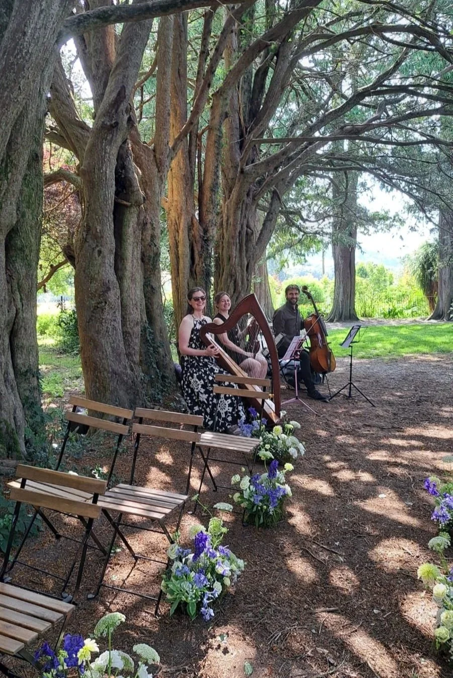 Cello, Violin and Harp for Wedding Ceremony.