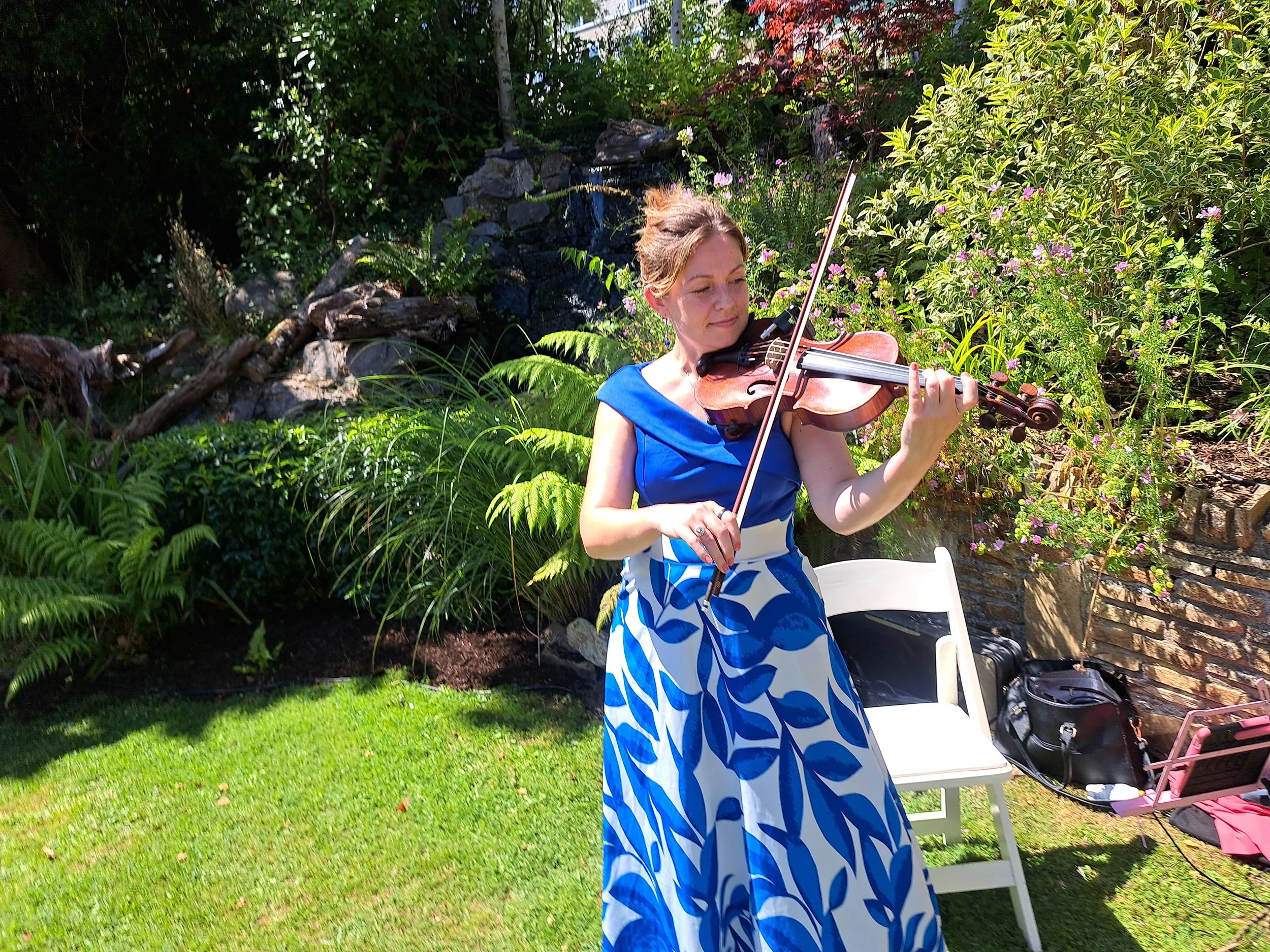 Violin for Drinks Reception