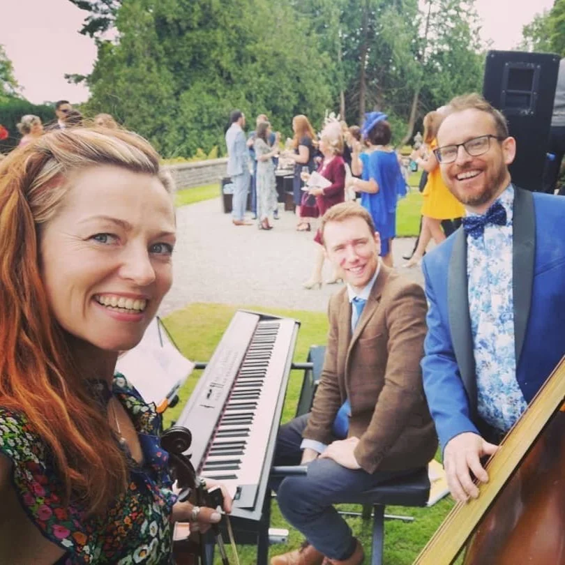 Jazz trio for drinks reception.