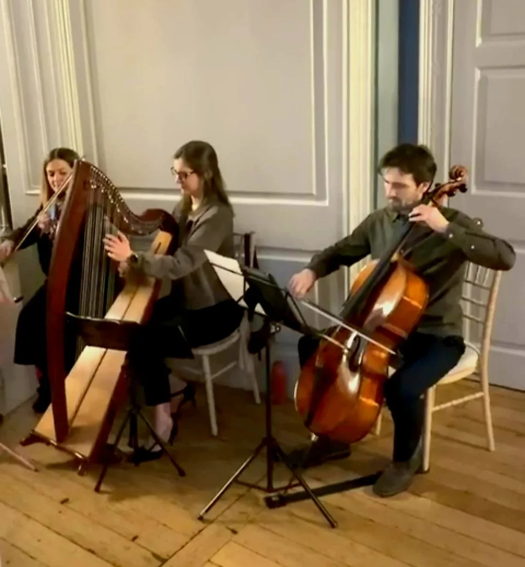 Violin, Cello, Harp String Trio