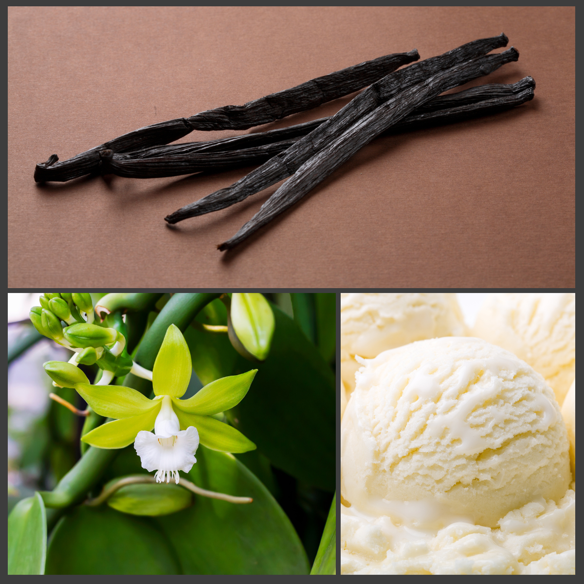 Everything About Vanilla Is Harder Than It Should Be