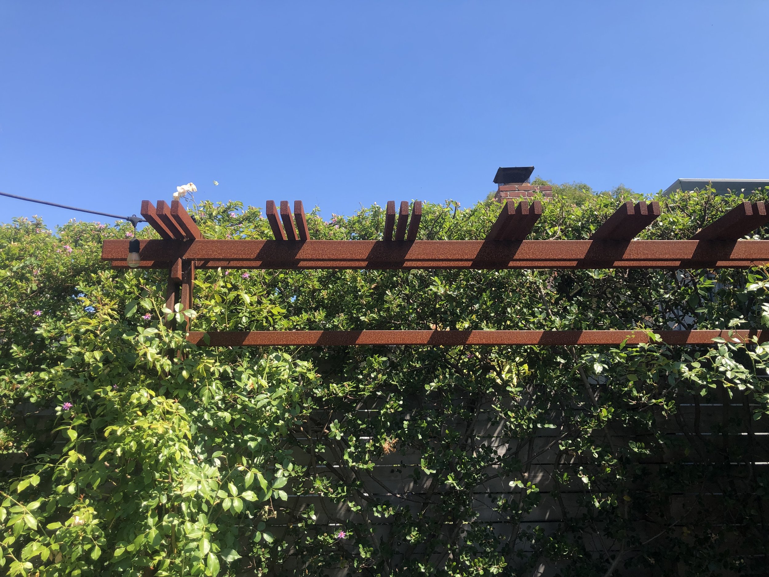 IMG_9274.jpeg