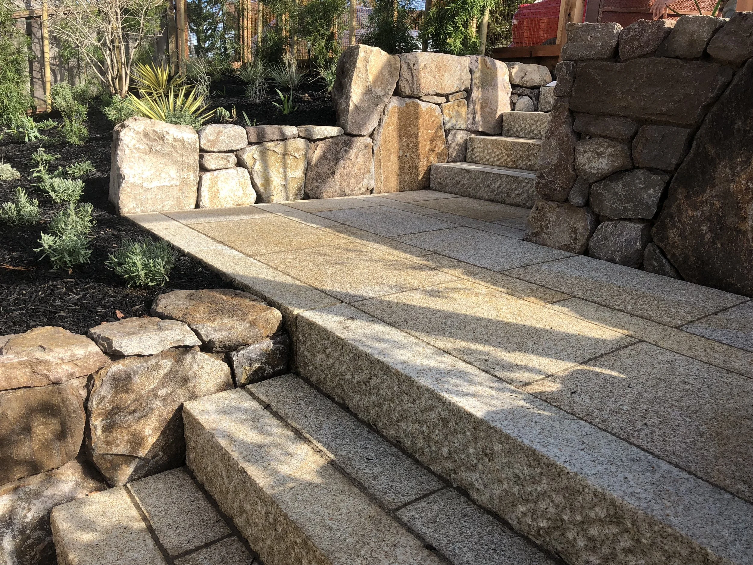 2018 0126 Schwarcz (11).JPG