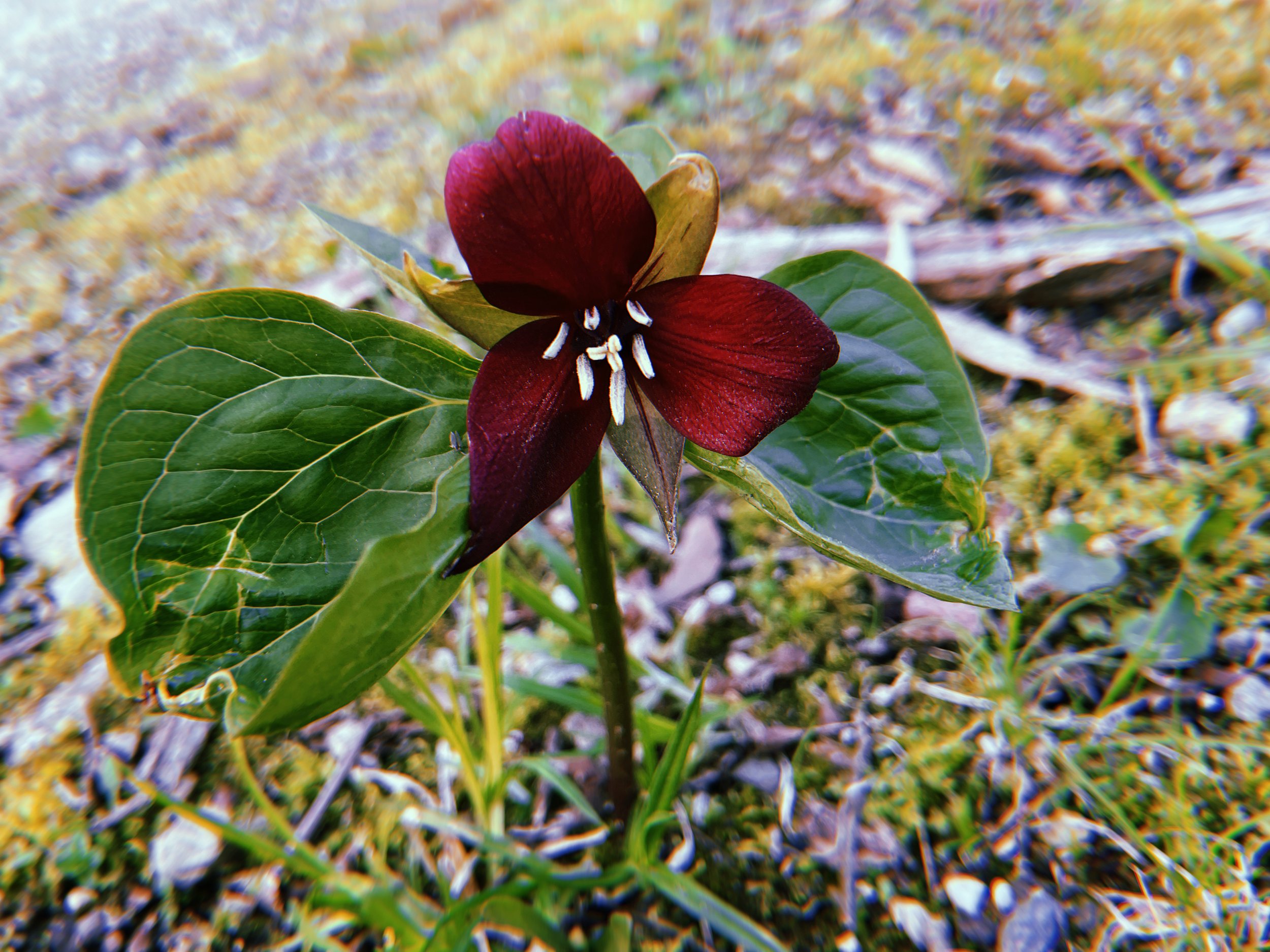 2022-04-24 18:42:32.728.jpeg