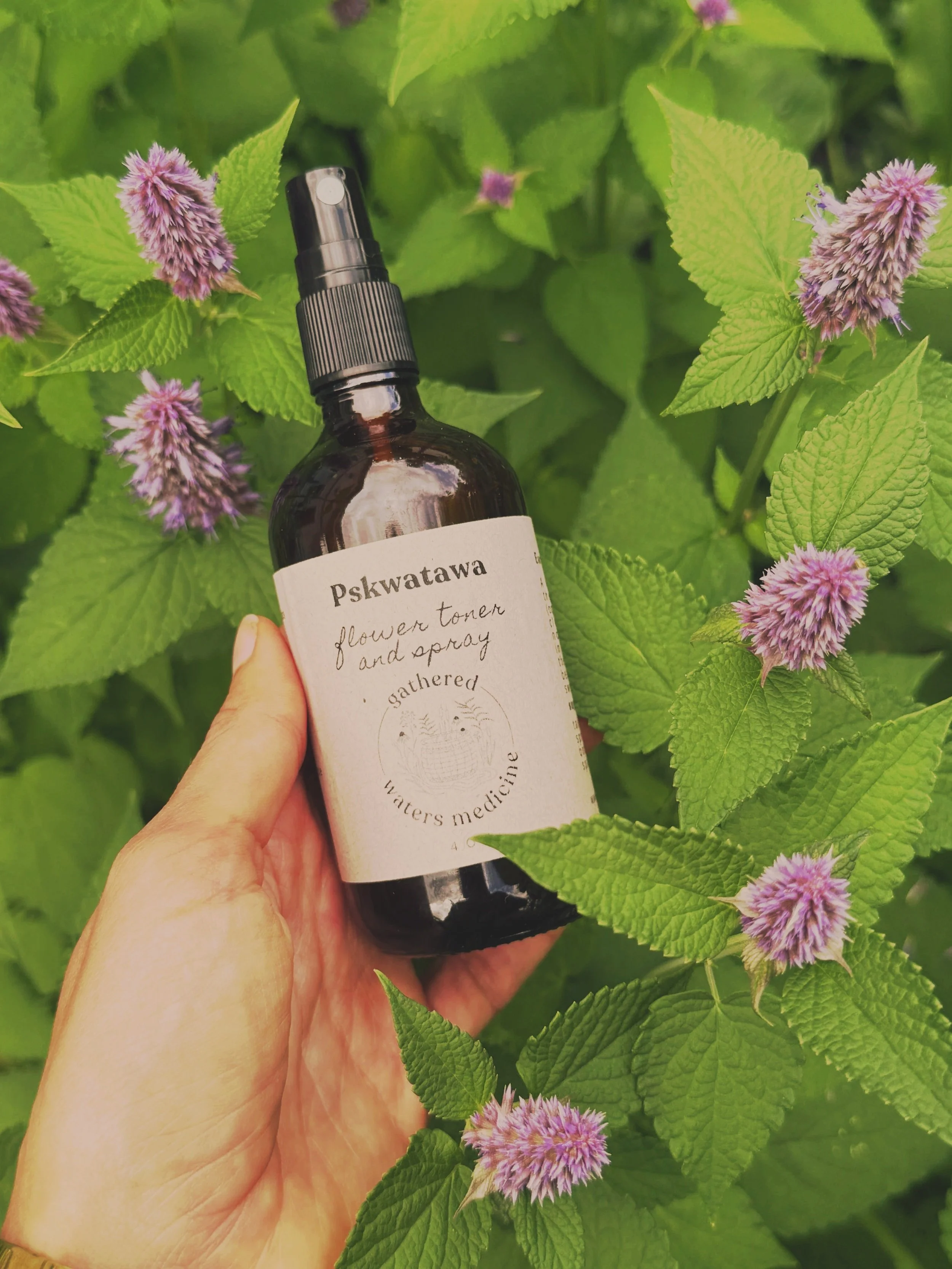 Pskwatawa Spray ~ Facial Toner + Spray