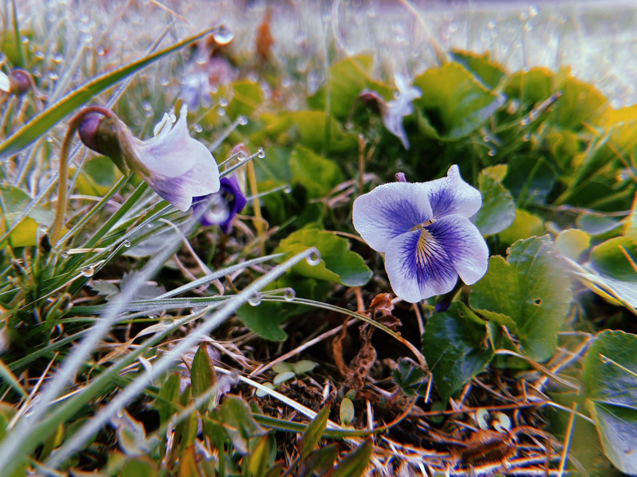 2022-04-22 06:52:33.517.jpeg