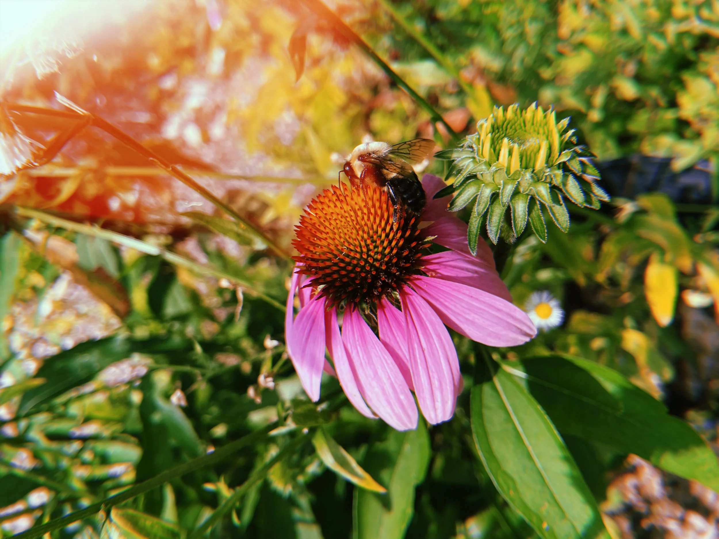 2023-07-15 15:36:33.359.jpeg