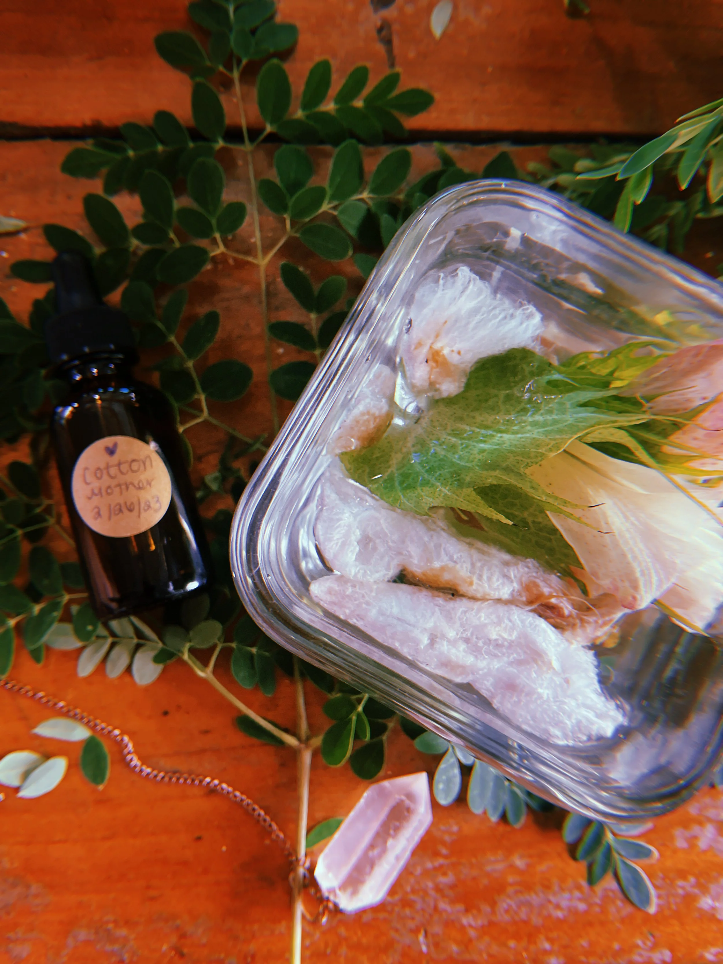 2023-02-26 16:38:13.510.jpeg