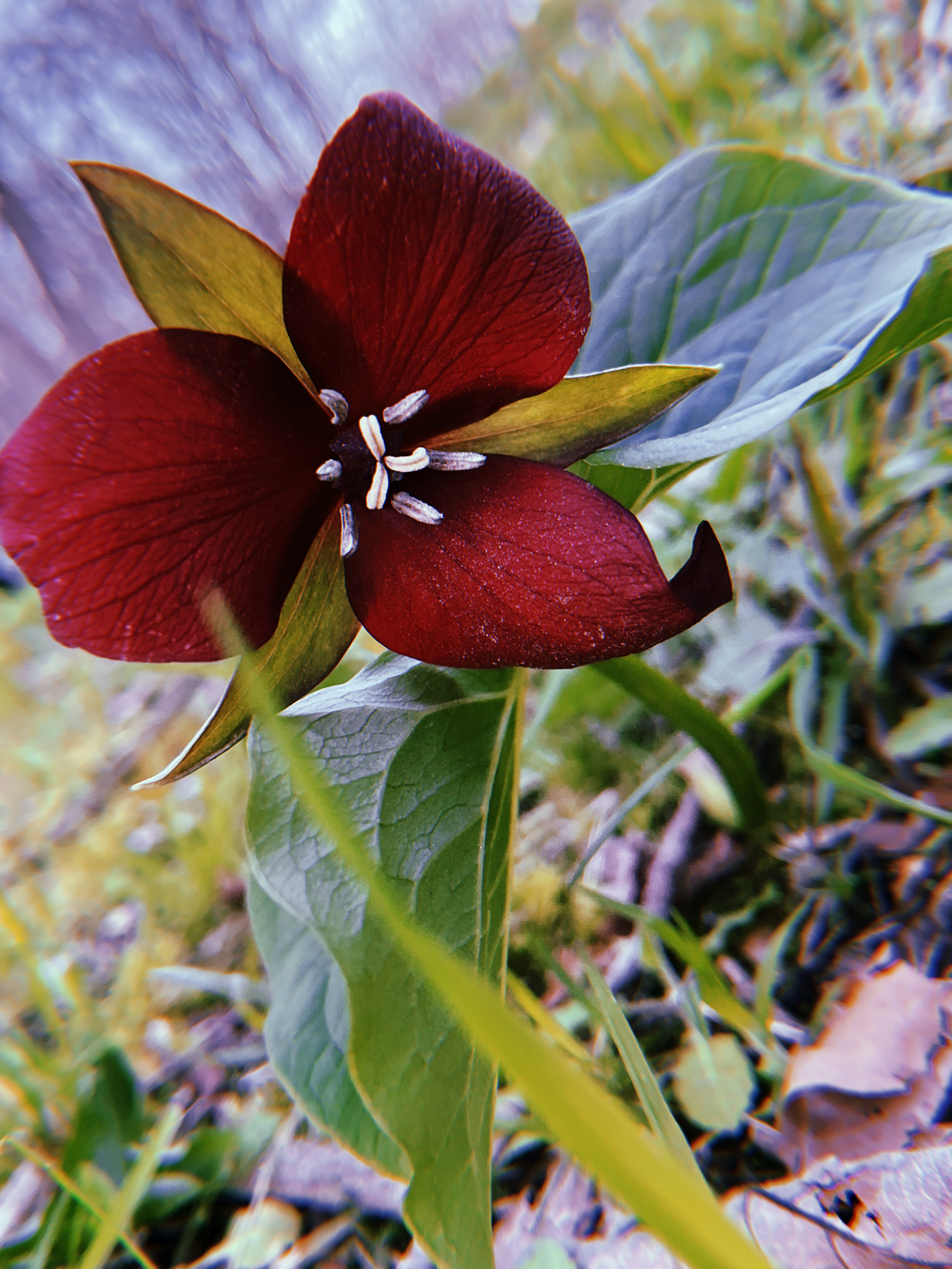 2022-04-24 19:42:40.802.jpeg